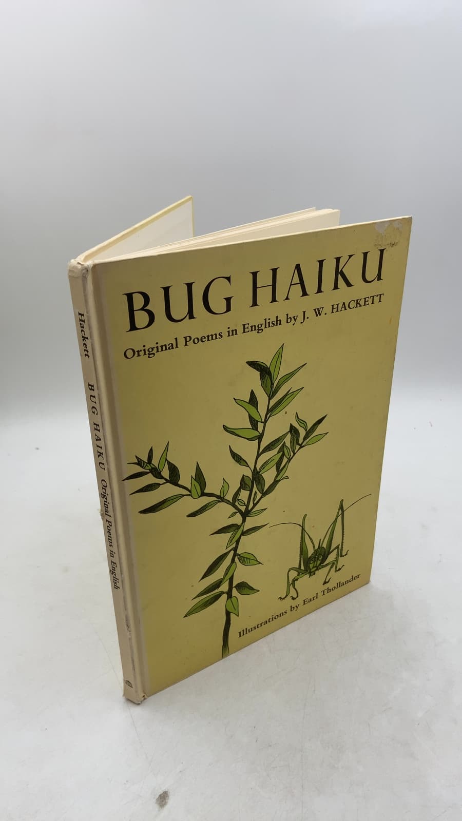 Bug Haiku by J. W. Hackett - front cover