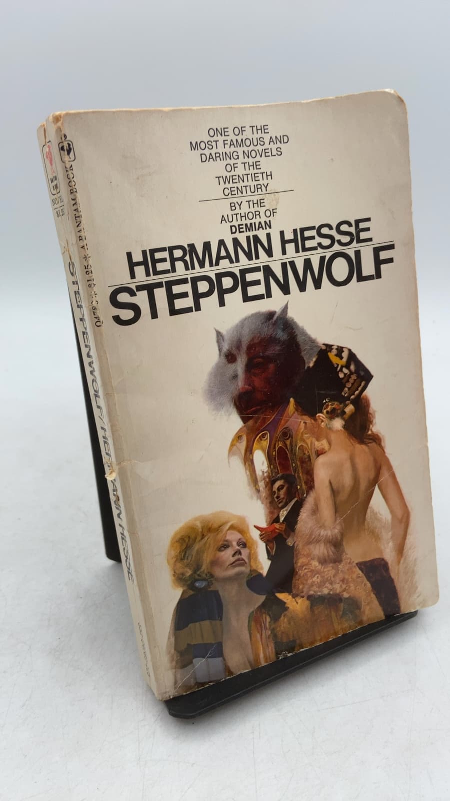 Steppenwolf by Hermann Hesse - front cover