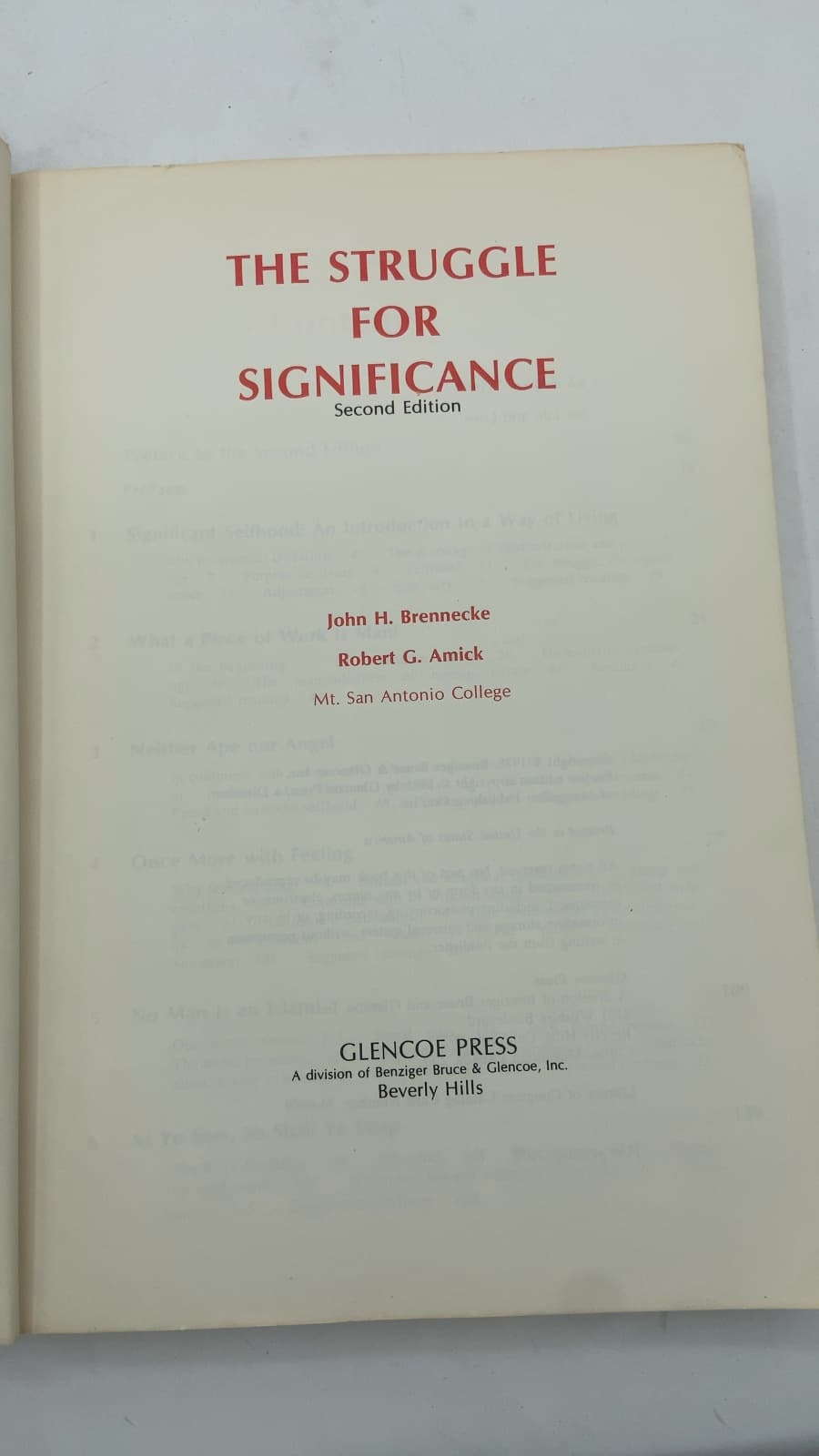 The Struggle for Significance by John H. Brennecke and Robert G. Amick - title page