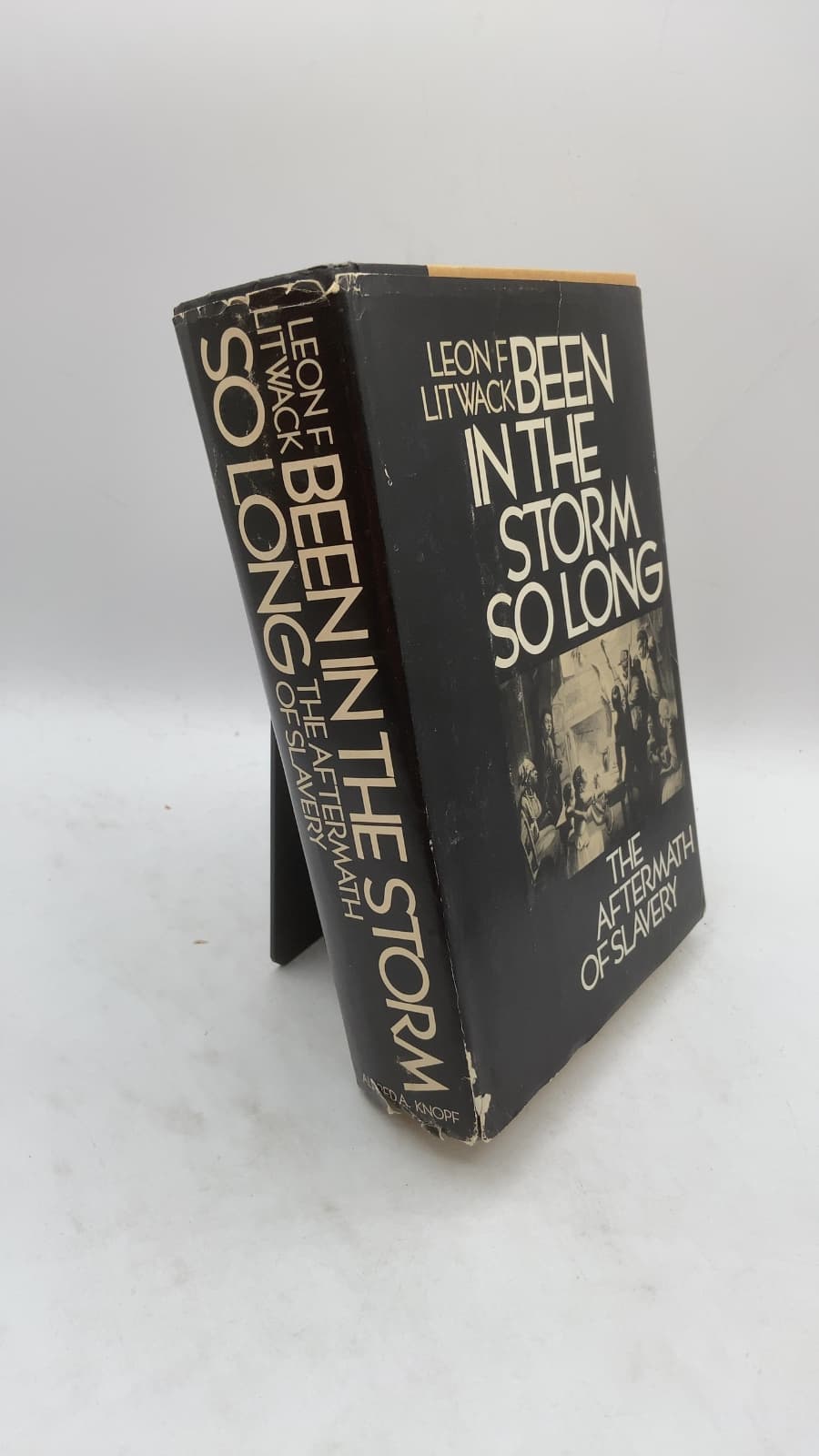 Been in the Storm So Long: The Aftermath of Slavery by Leon F. Litwack - front cover
