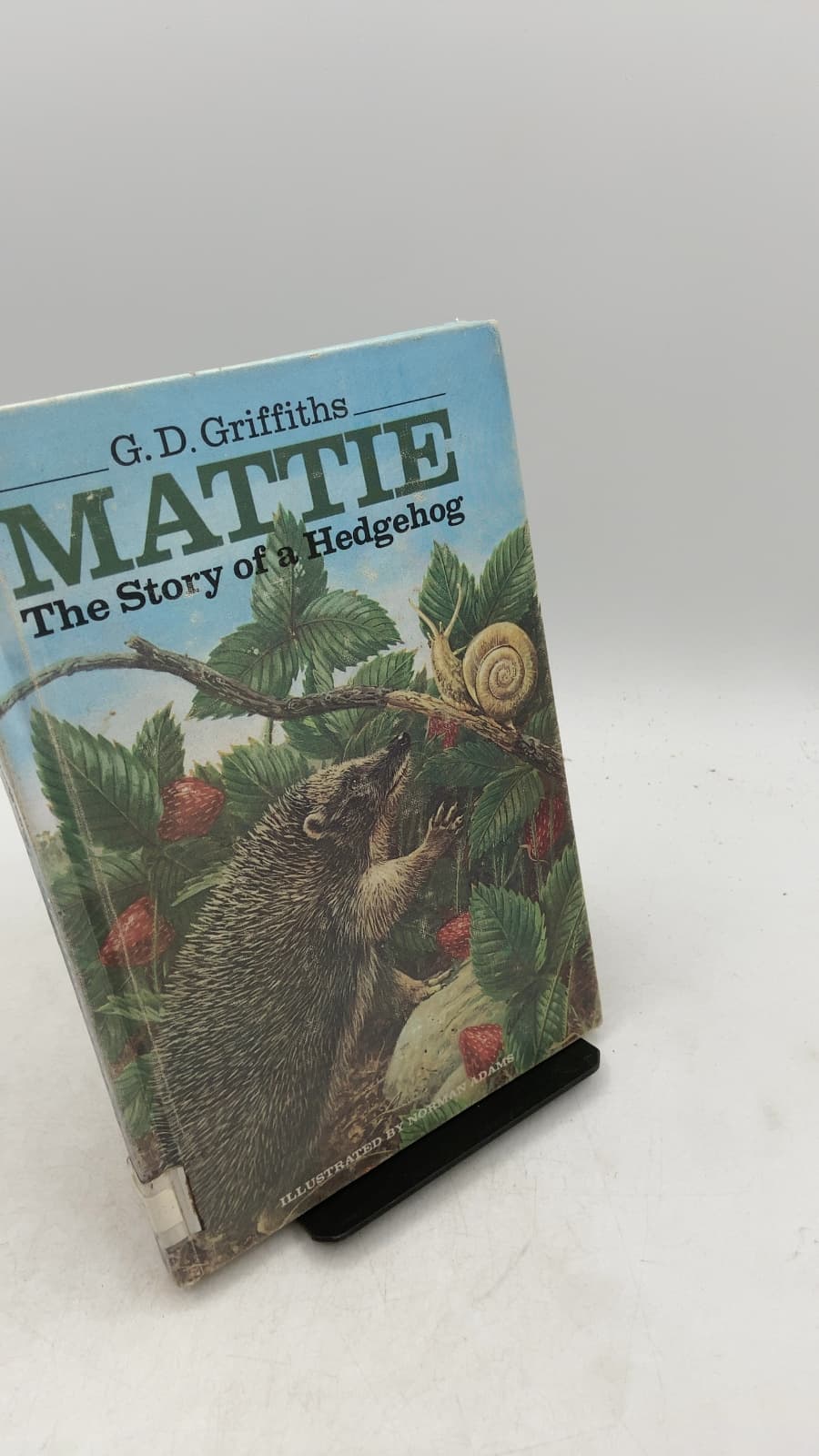Mattie: The Story of a Hedgehog