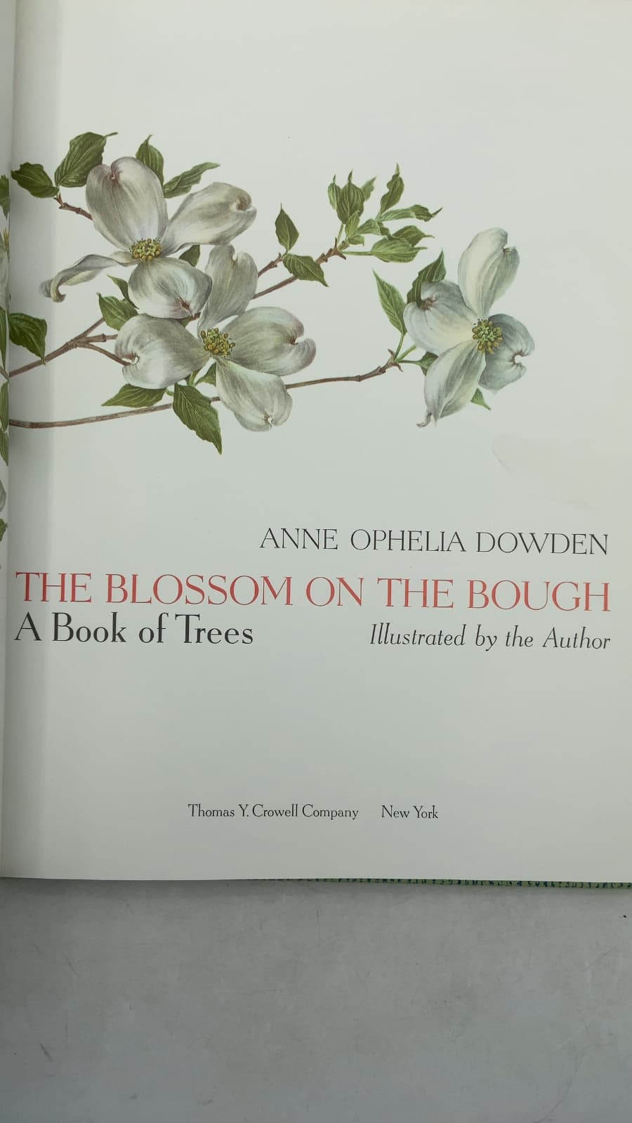 The Blossom on the Bough: A Book of Trees by Anne Ophelia Dowden - title page