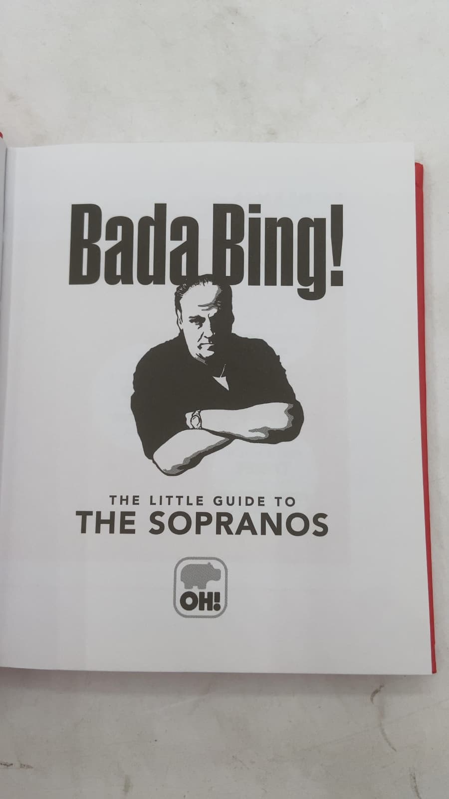 Bada Bing! The Little Guide to The Sopranos by Victoria Godden - title page