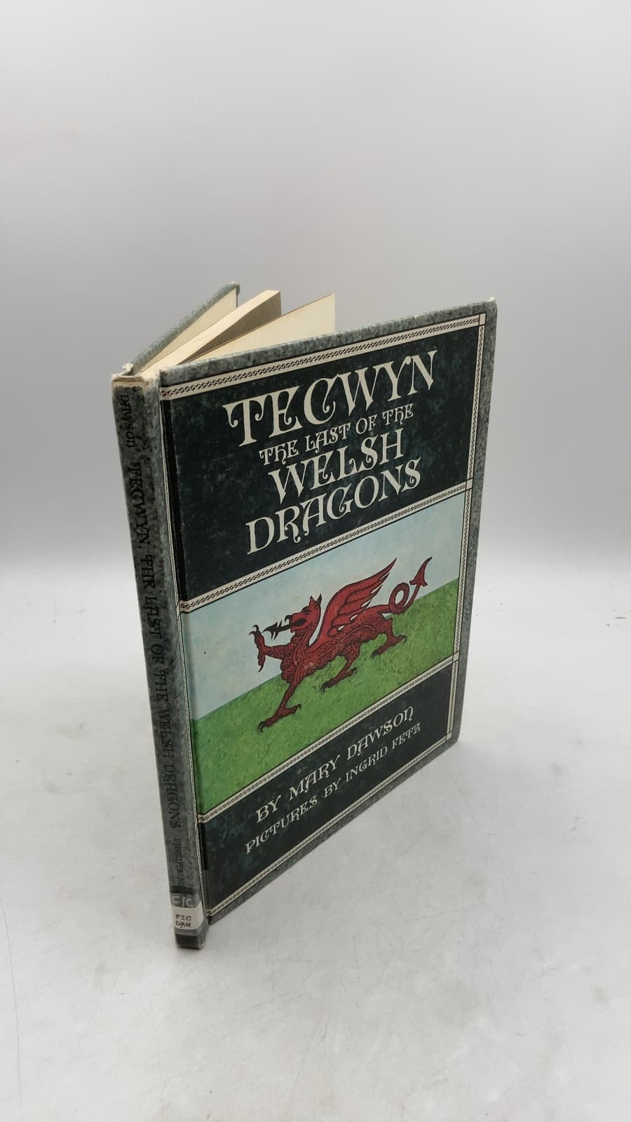 Tecwyn, The Last of the Welsh Dragons