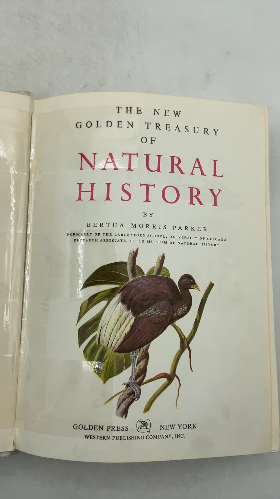 The New Golden Treasury of Natural History by Bertha Morris Parker - title page
