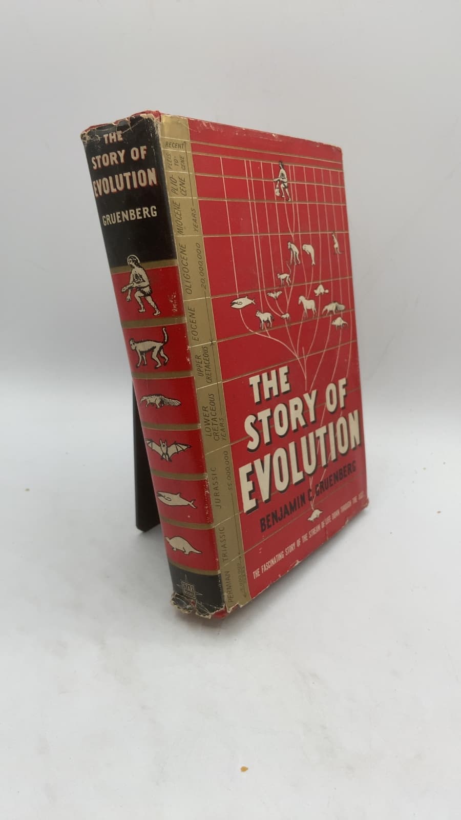 The Story of Evolution: Facts and Theories on the Development of Life by Benjamin C. Gruenberg - front cover