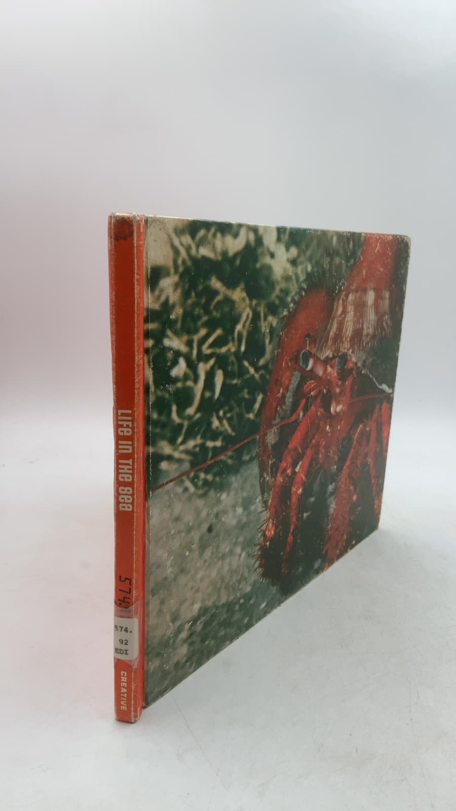 Life IN THE SEA by Editors of Creative - front cover