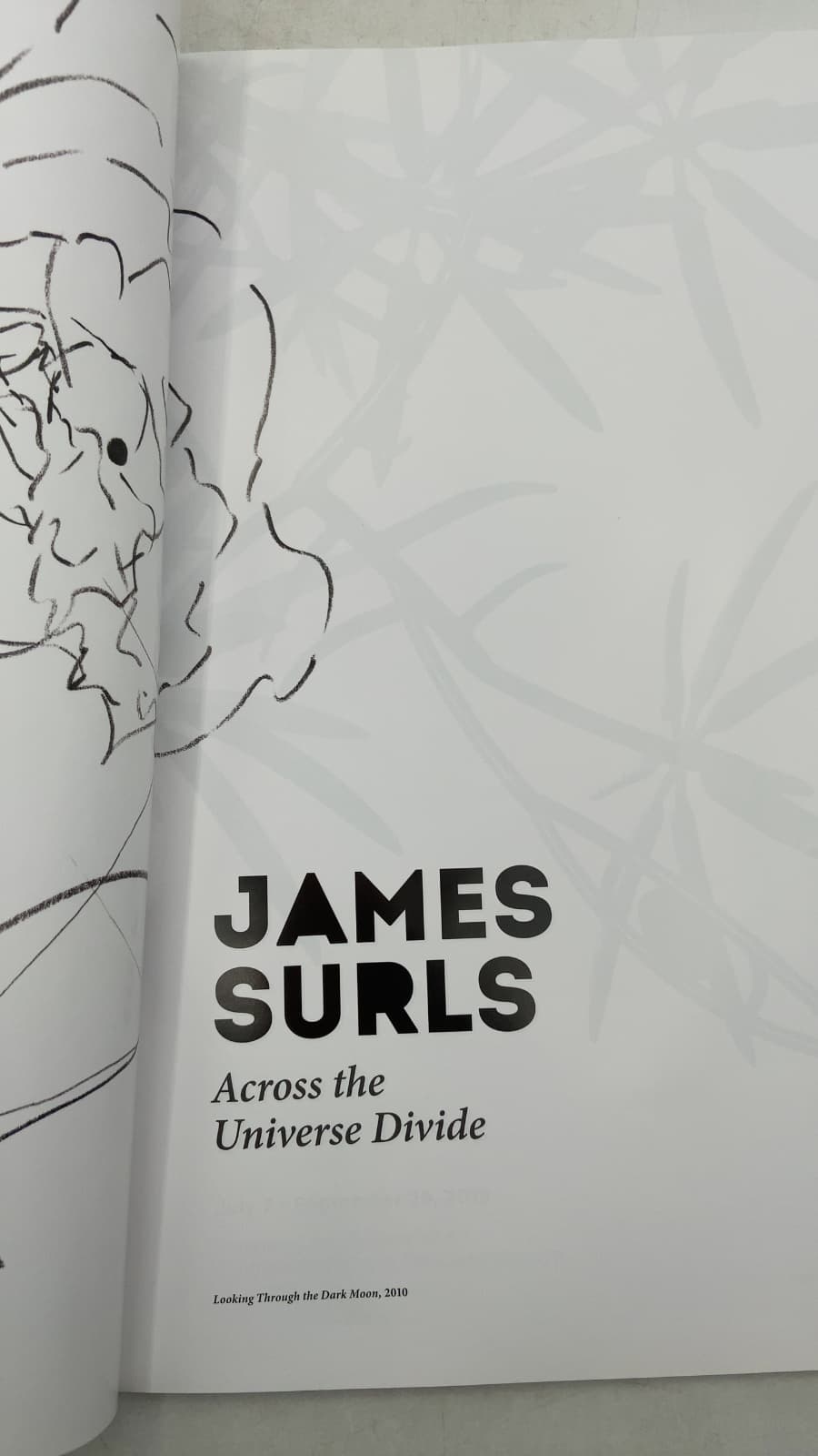 Across the Universe Divide by James Surls - title page