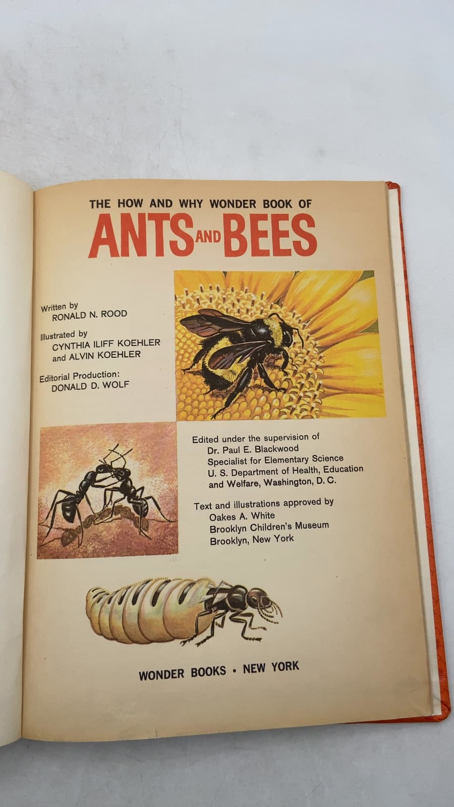 The How and Why Wonder Book of Ants and Bees by Ronald N. Rood - title page