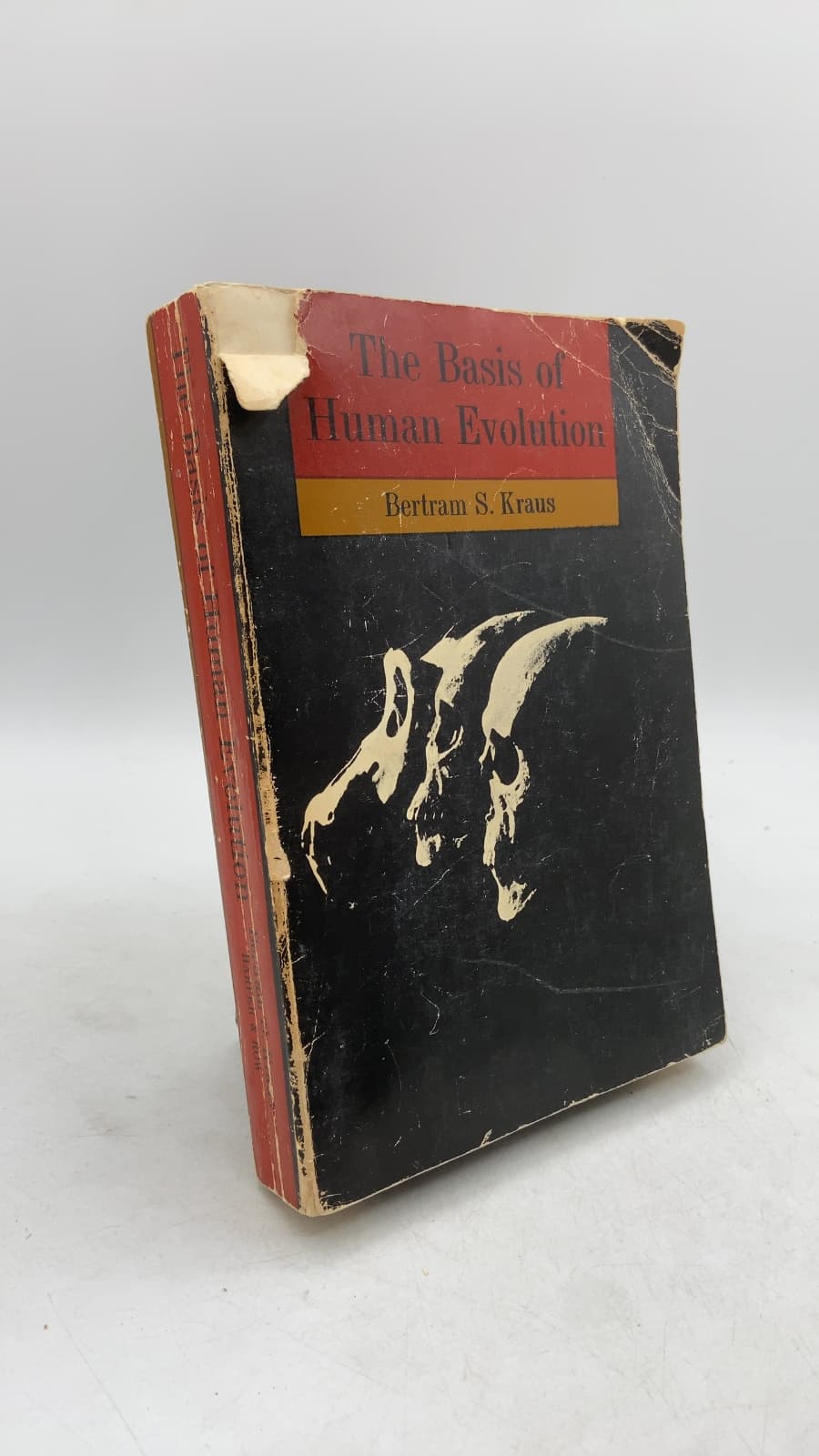 The Basis of Human Evolution by Bertram S. Kraus, Ph.D. - front cover