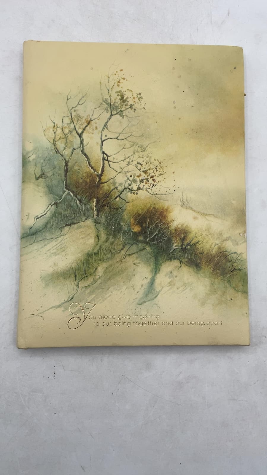 You alone give meaning to our being together and our being apart - title page