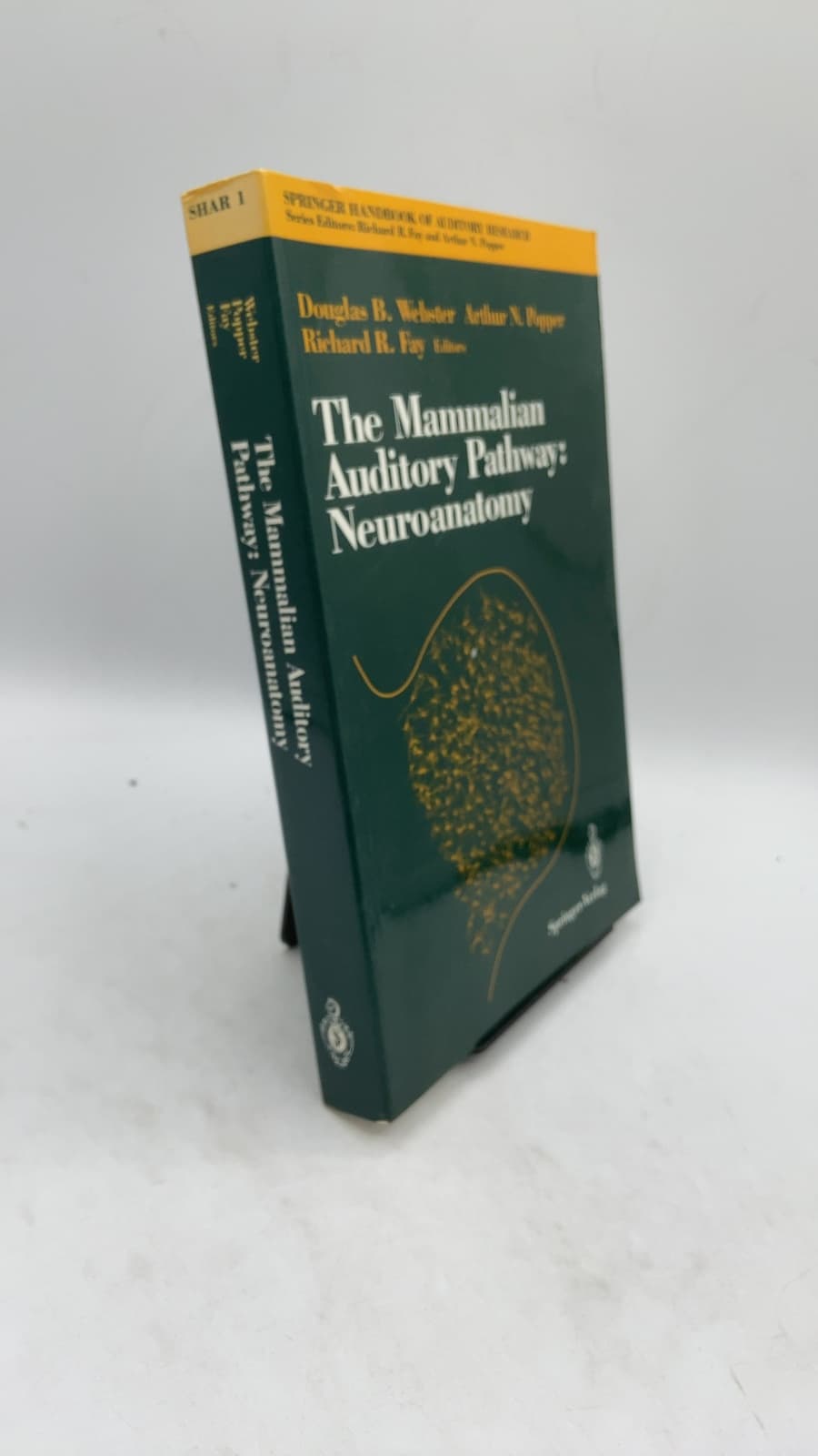 The Mammalian Auditory Pathway: Neuroanatomy by Douglas B. Webster, Arthur N. Popper, Richard R. Fay - front cover
