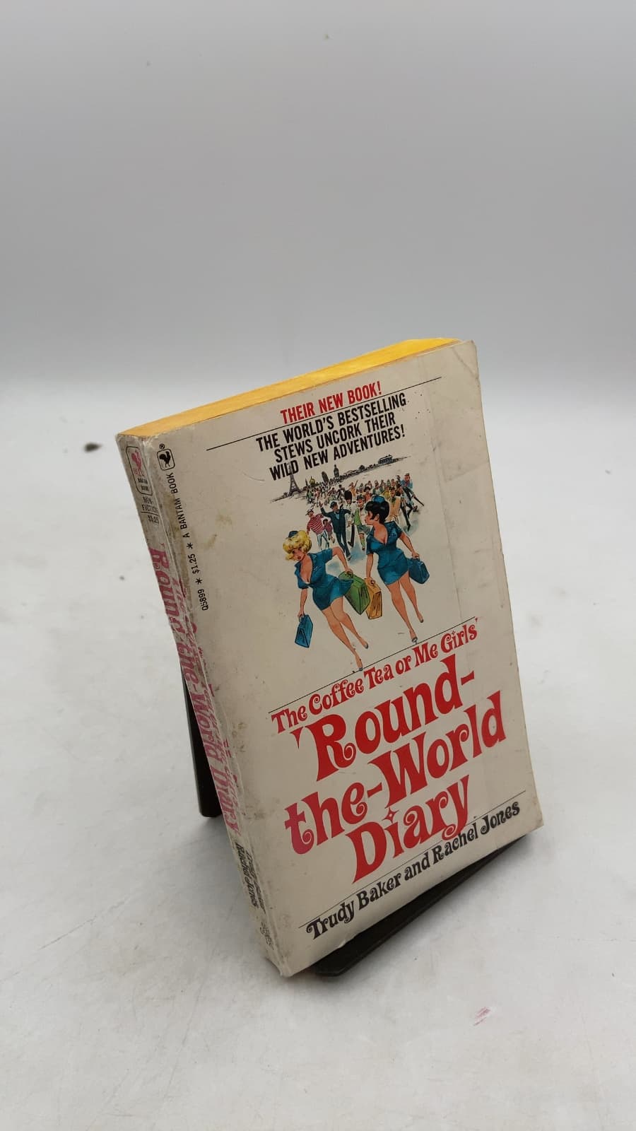 The Coffee Tea or Me Girls' 'Round-the-World Diary by Trudy Baker and Rachel Jones - front cover