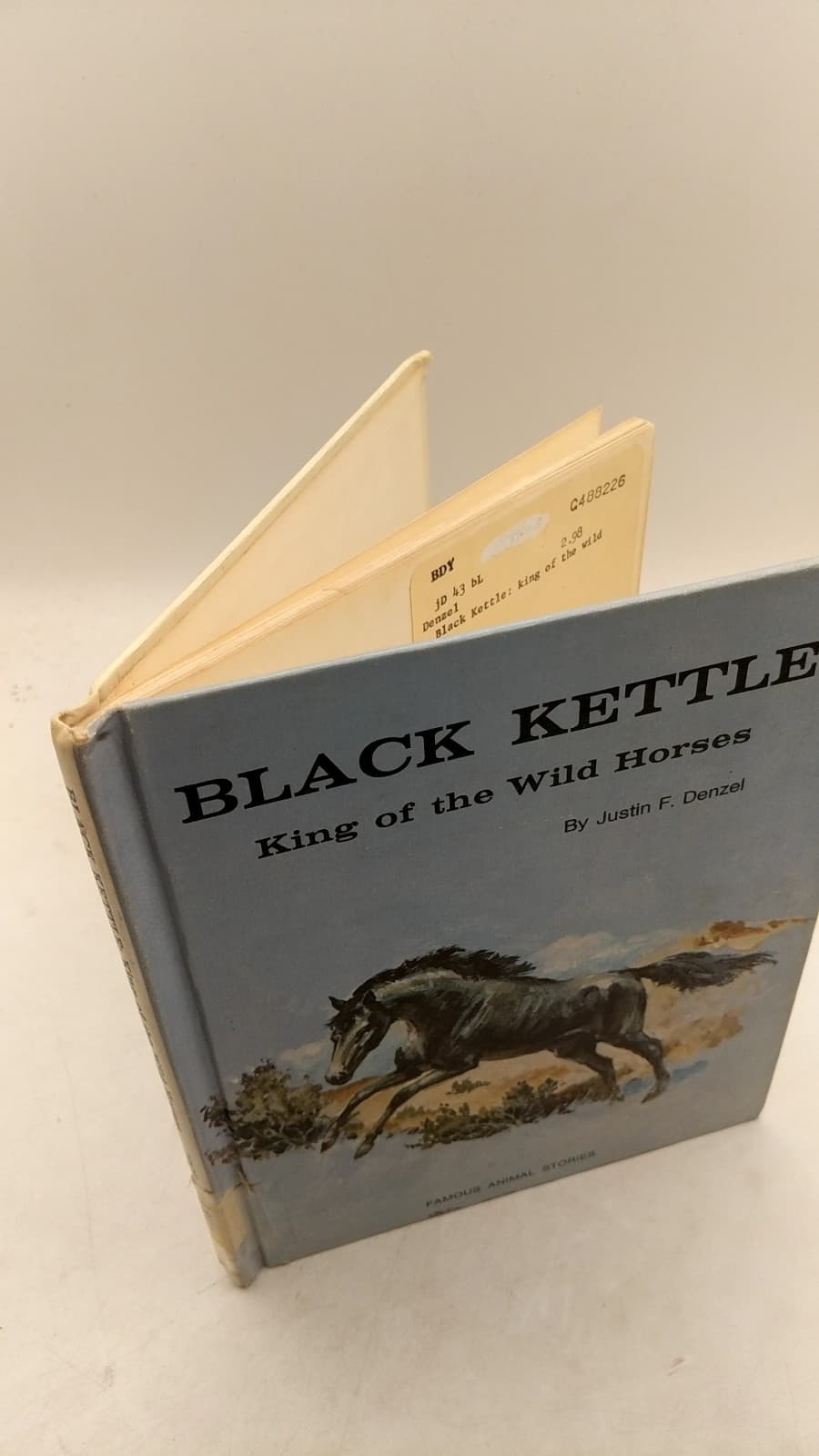 Black Kettle: King of the Wild Horses by Justin F. Denzel - front cover