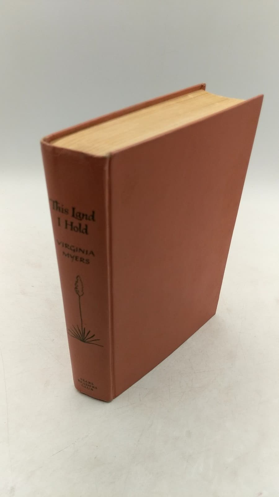 This Land I Hold by Virginia Myers - front cover