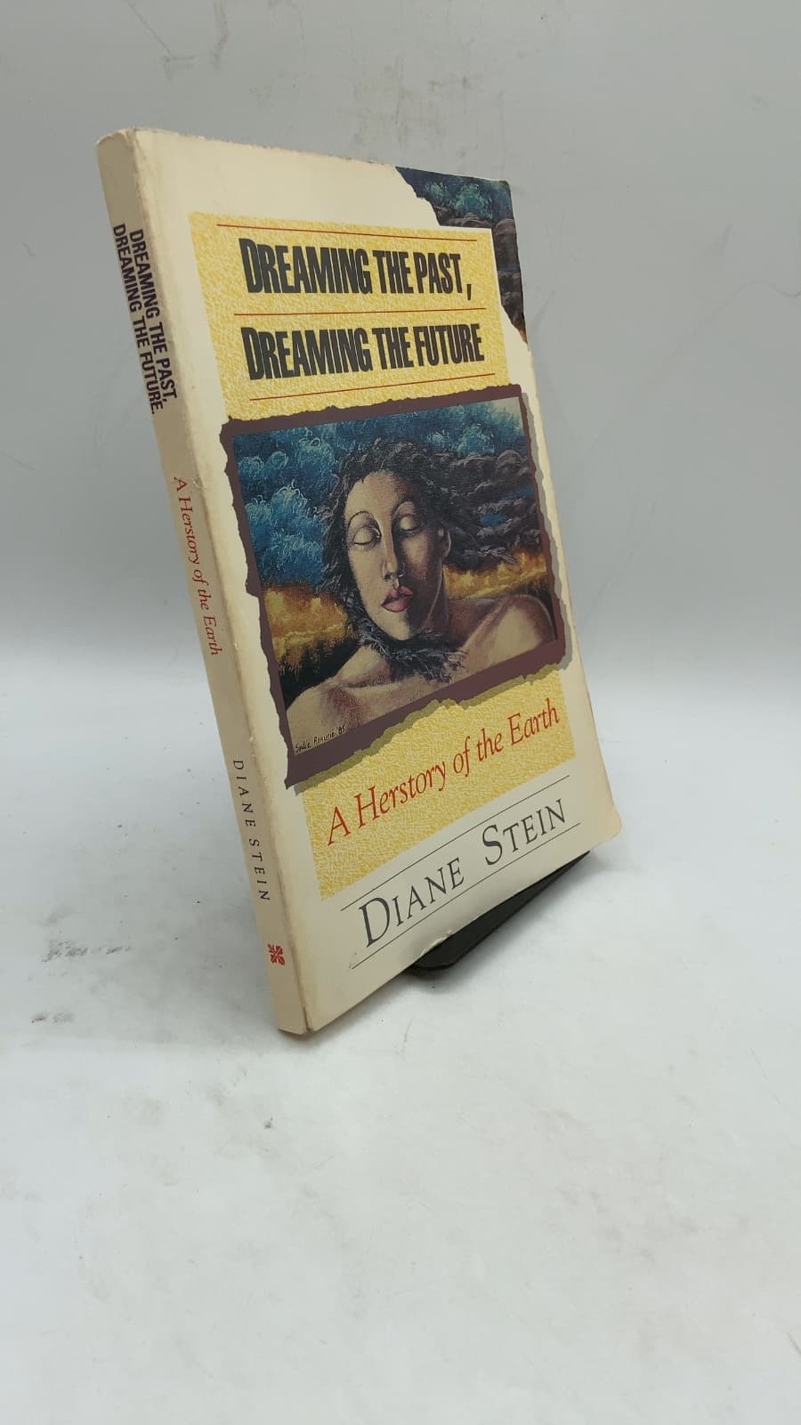 Dreaming the Past, Dreaming the Future: A Herstory of the Earth by Diane Stein - front cover