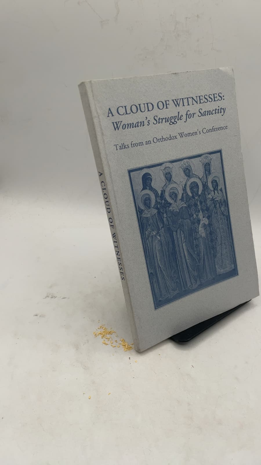 A Cloud of Witnesses: Woman's Struggle for Sanctity - front cover