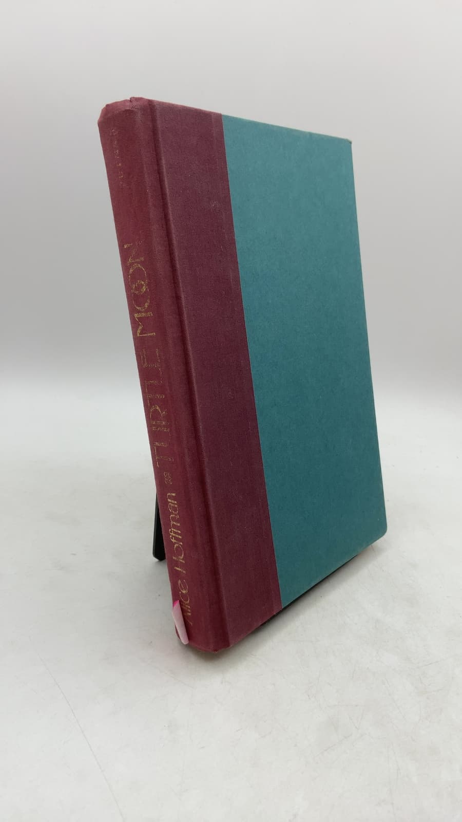 Turtle Moon by Alice Hoffman - front cover