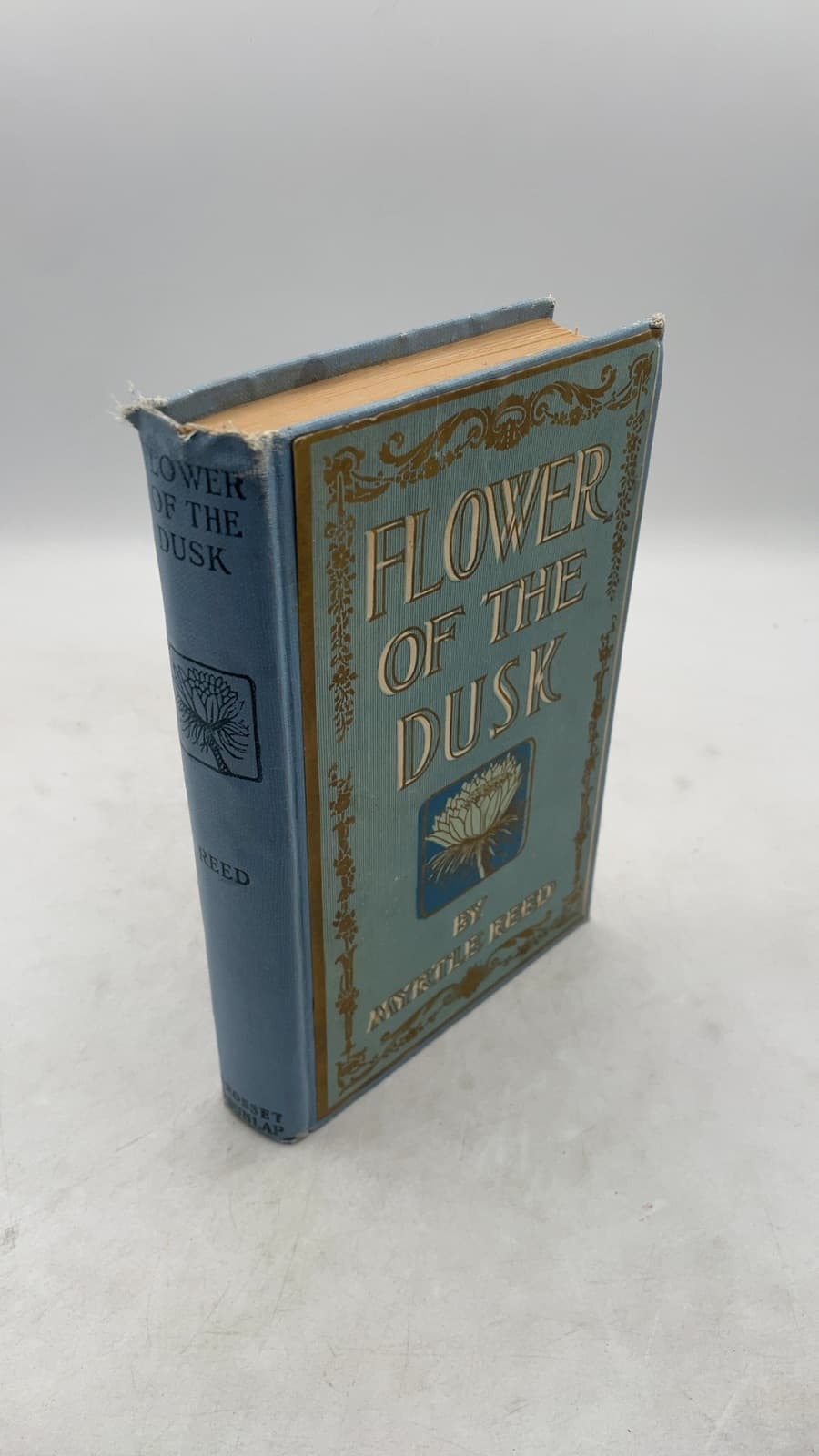 Flower OF THE Dusk