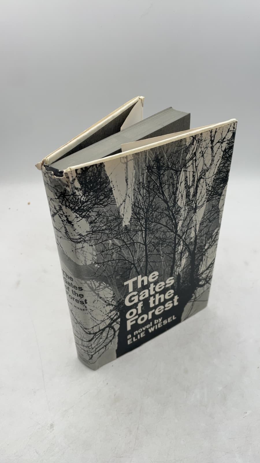 The Gates of the Forest by Elie Wiesel - front cover