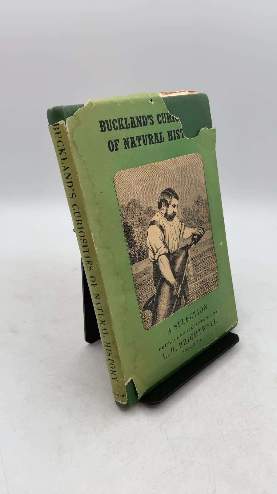 Buckland's Curiosities of Natural History: A Selection by Francis Trevelyan Buckland (Edited and Illustrated by L. R. Brightwell) - front cover