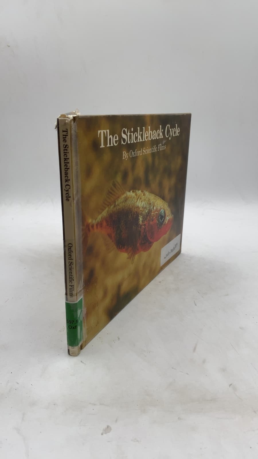 The Stickleback Cycle by Oxford Scientific Films - front cover