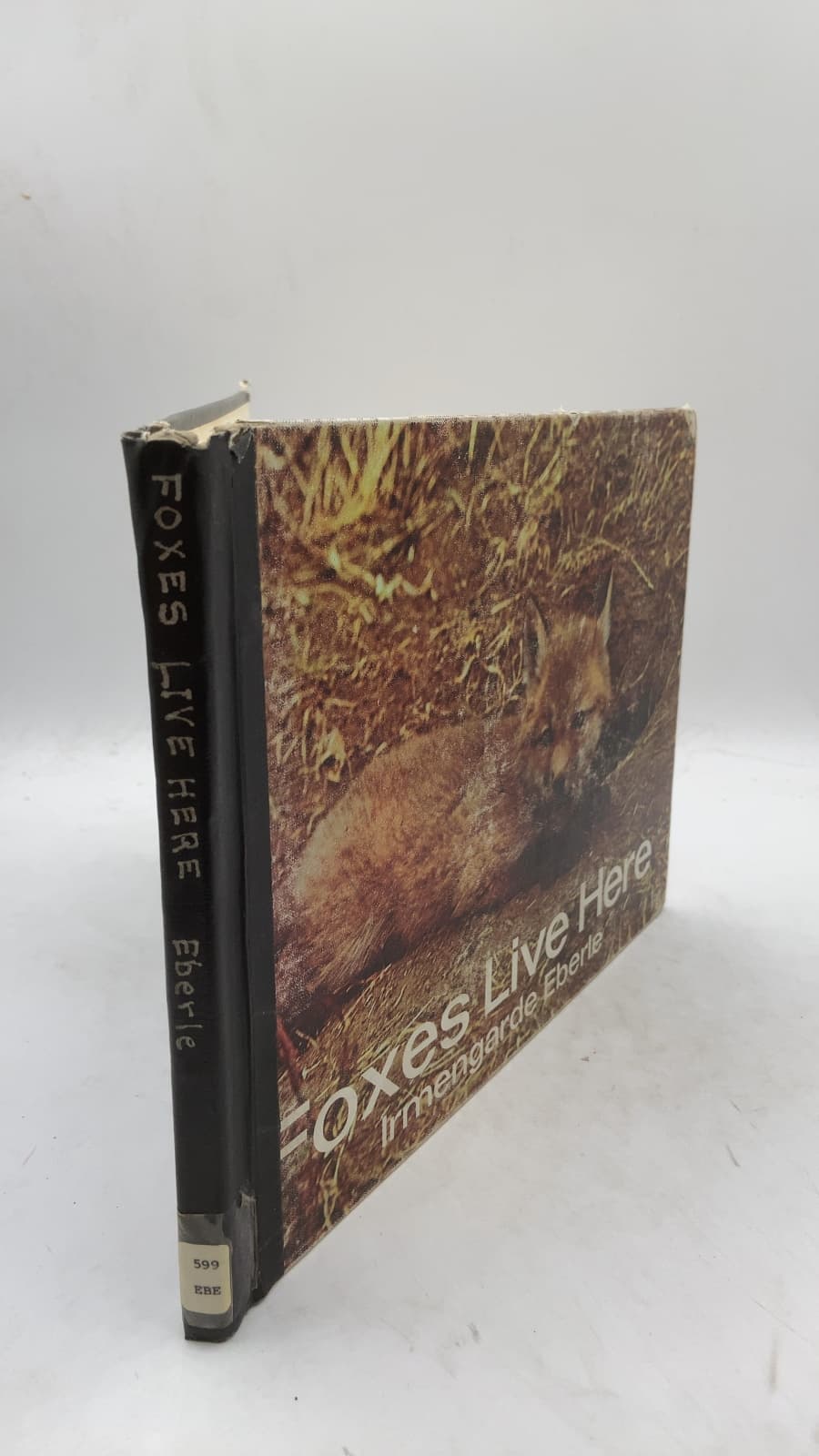 Foxes Live Here by Irmengarde Eberle - front cover