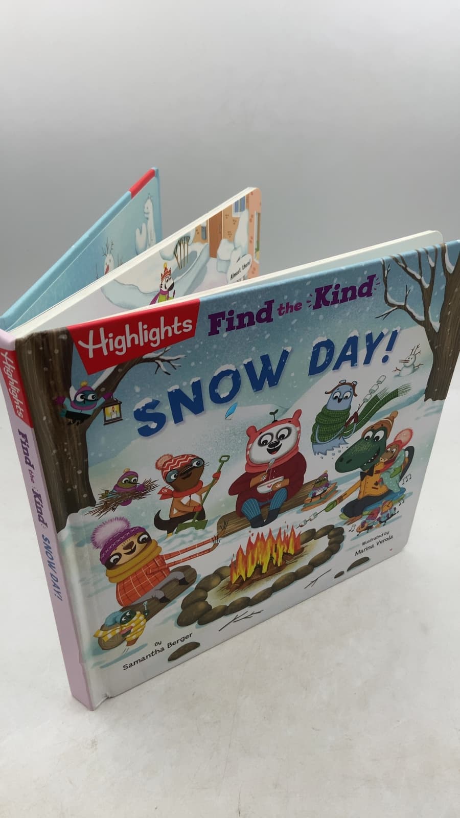 Find the Kind: Snow Day! by Samantha Berger - front cover