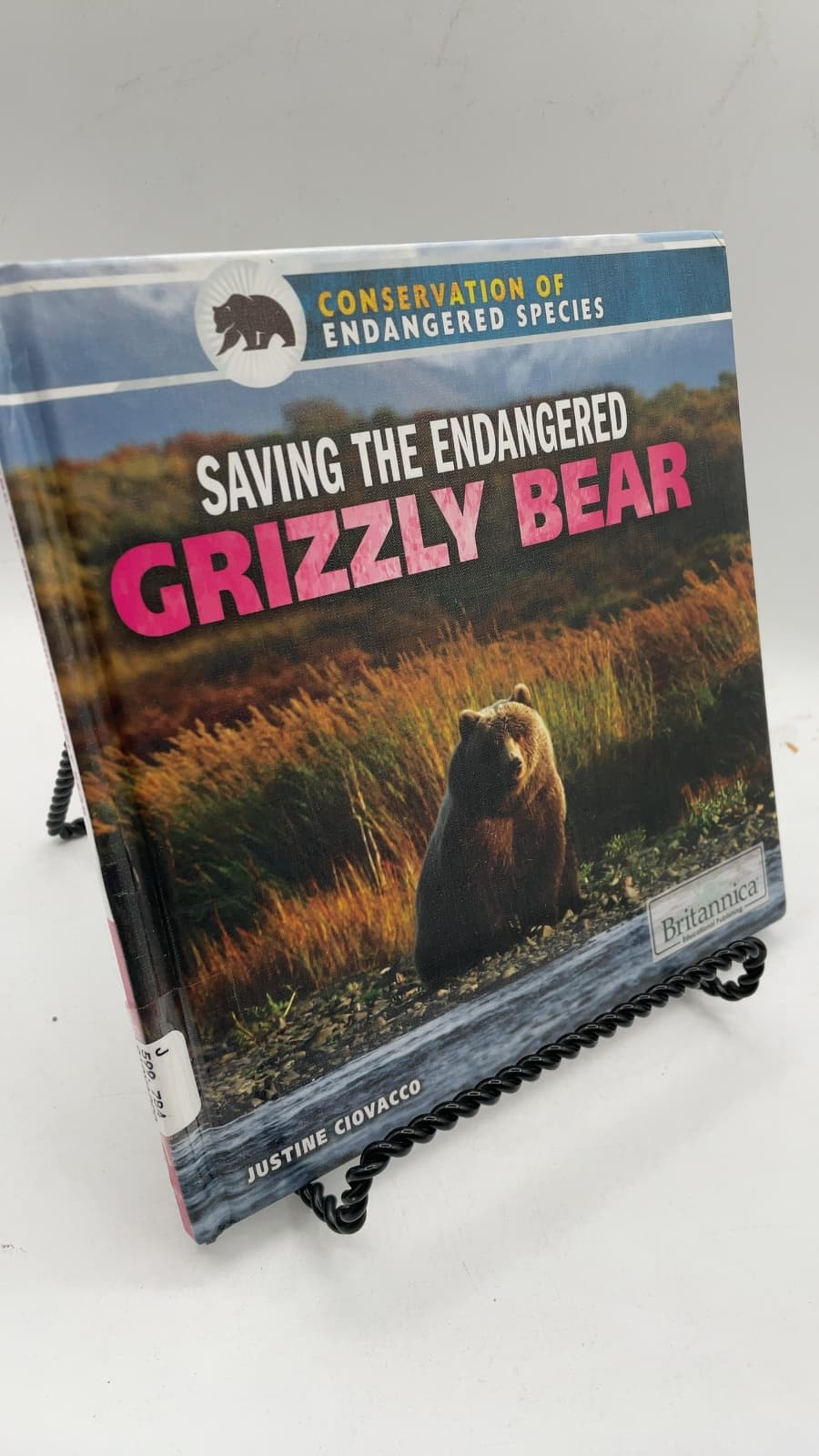 Saving the Endangered Grizzly Bear by Justine Ciovacco - front cover