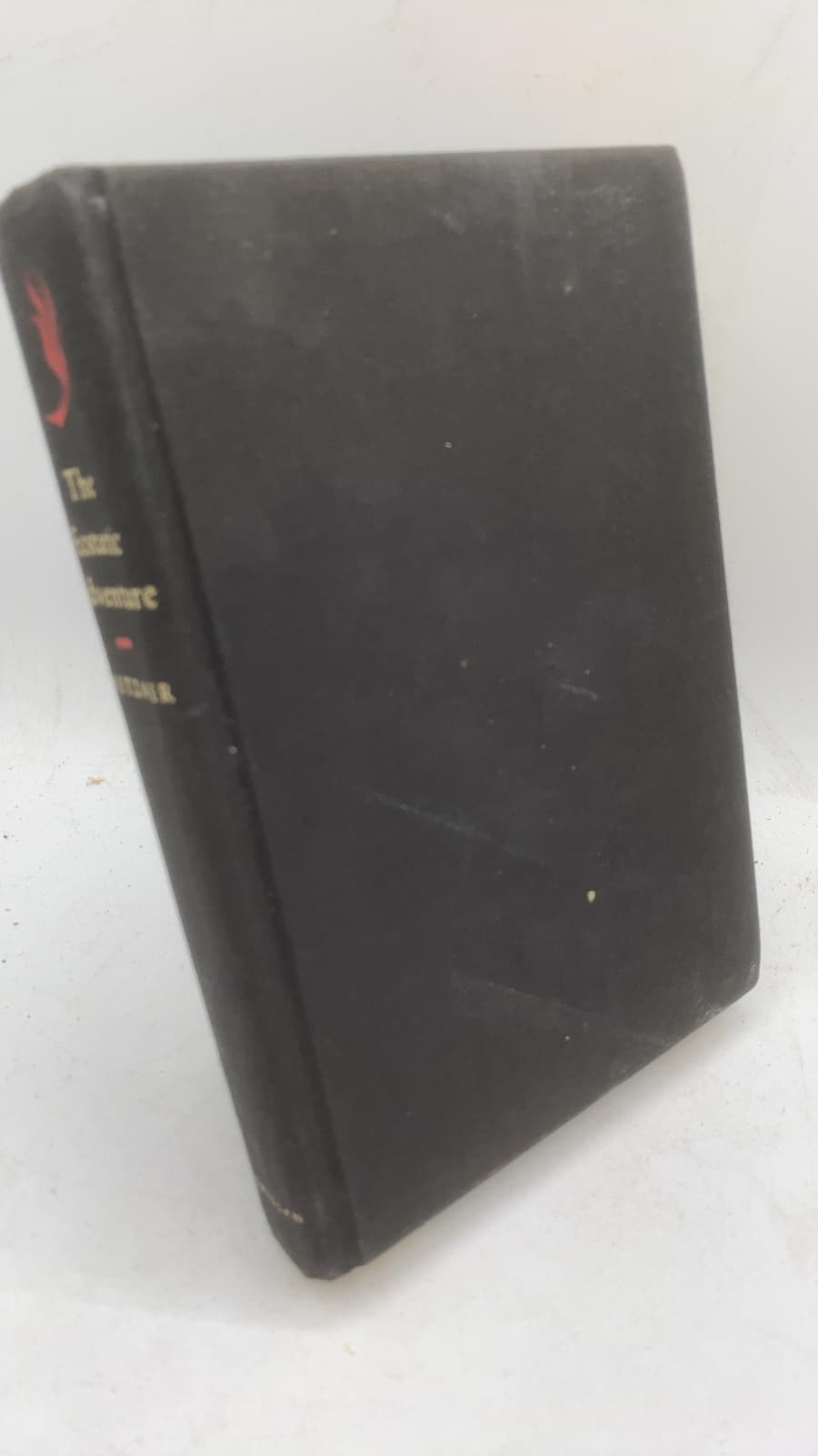 The Ecstatic Adventure by Ralph Metzner - front cover