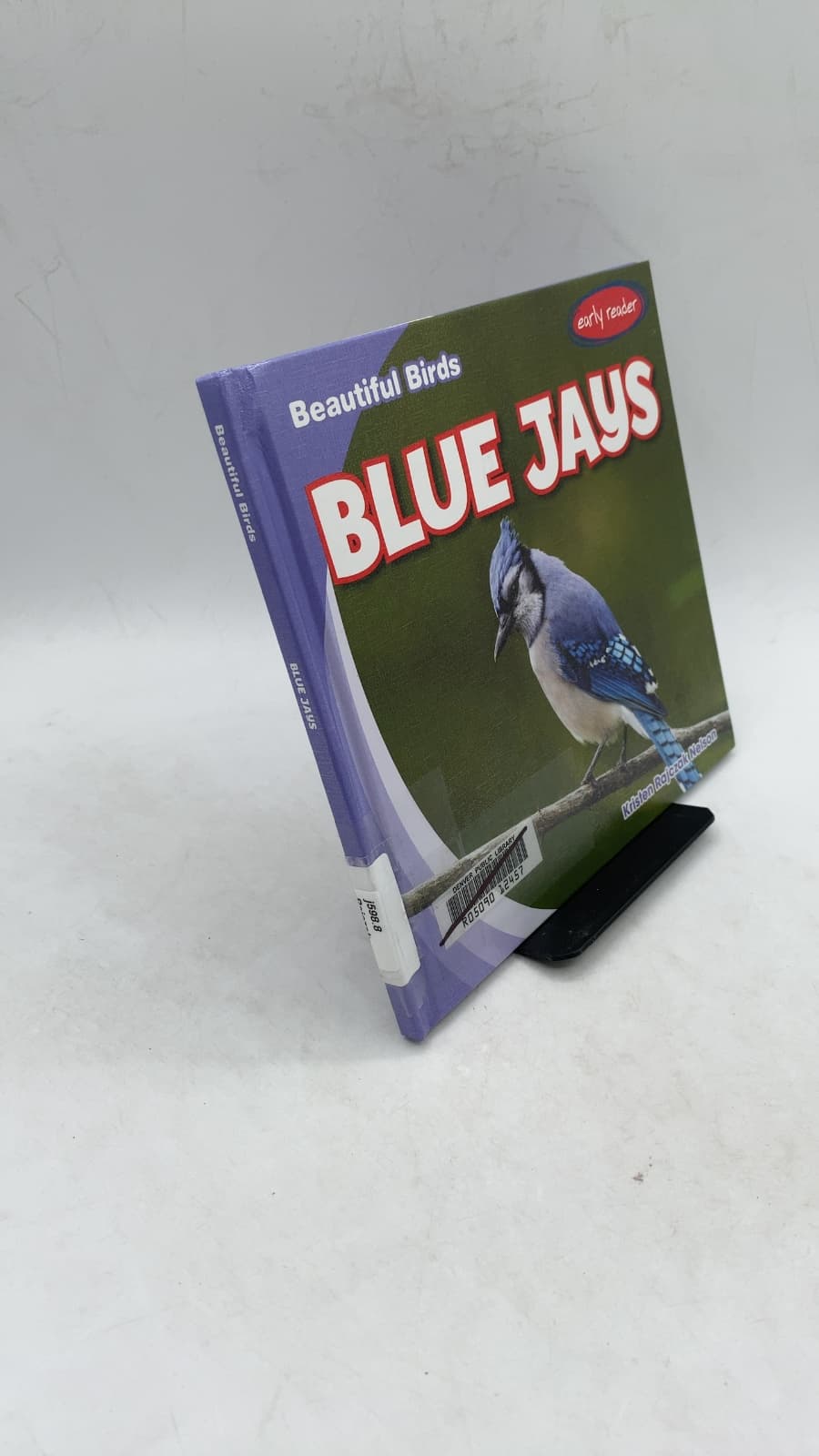 Blue Jays by Kristen Rajczak Nelson - front cover