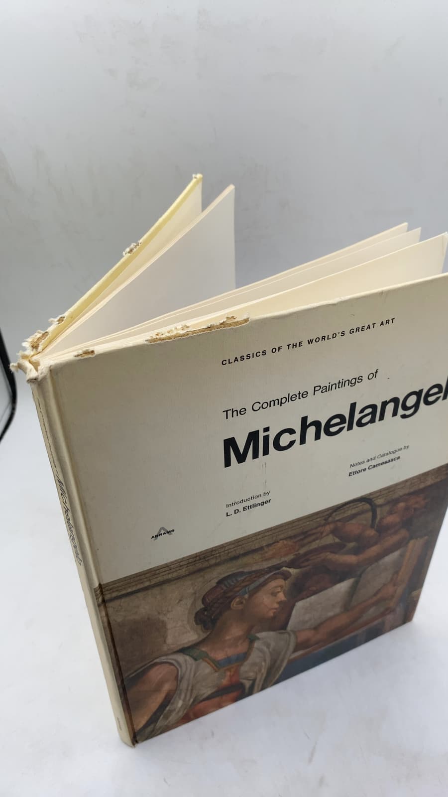The Complete Paintings of Michelangelo by L. D. Ettlinger and Ettore Camesasca - front cover