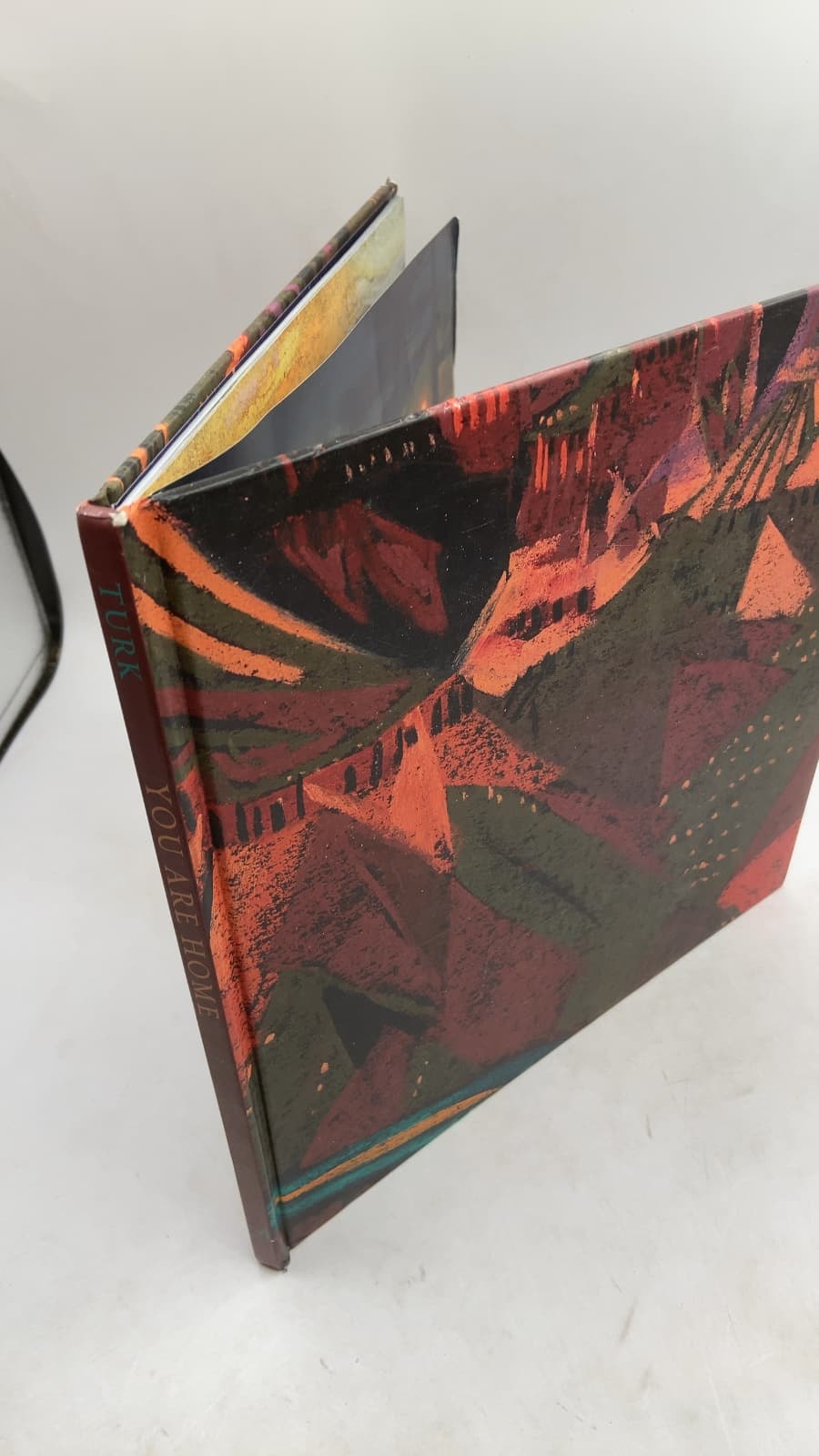 You Are Home: An Ode to the National Parks by Evan Turk - front cover