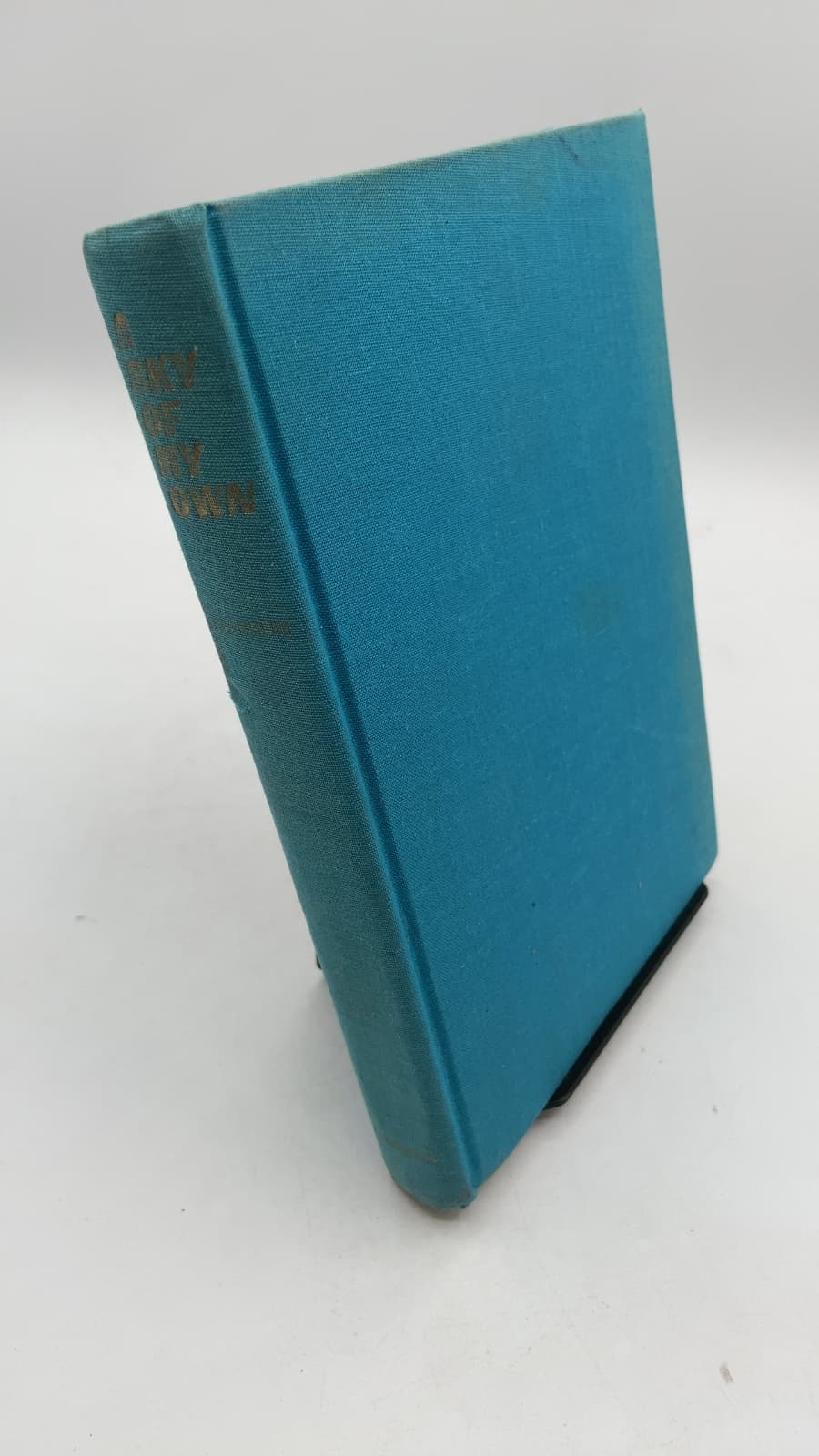 A Sky of My Own by Molly Bernheim - front cover