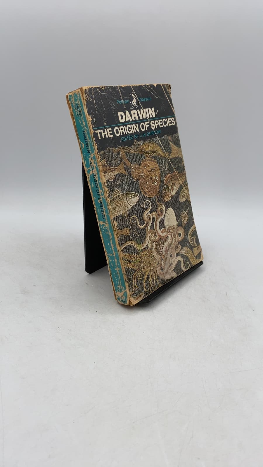 The Origin of Species by Means of Natural Selection or The Preservation of Favoured Races in the Struggle for Life by Charles Darwin - front cover