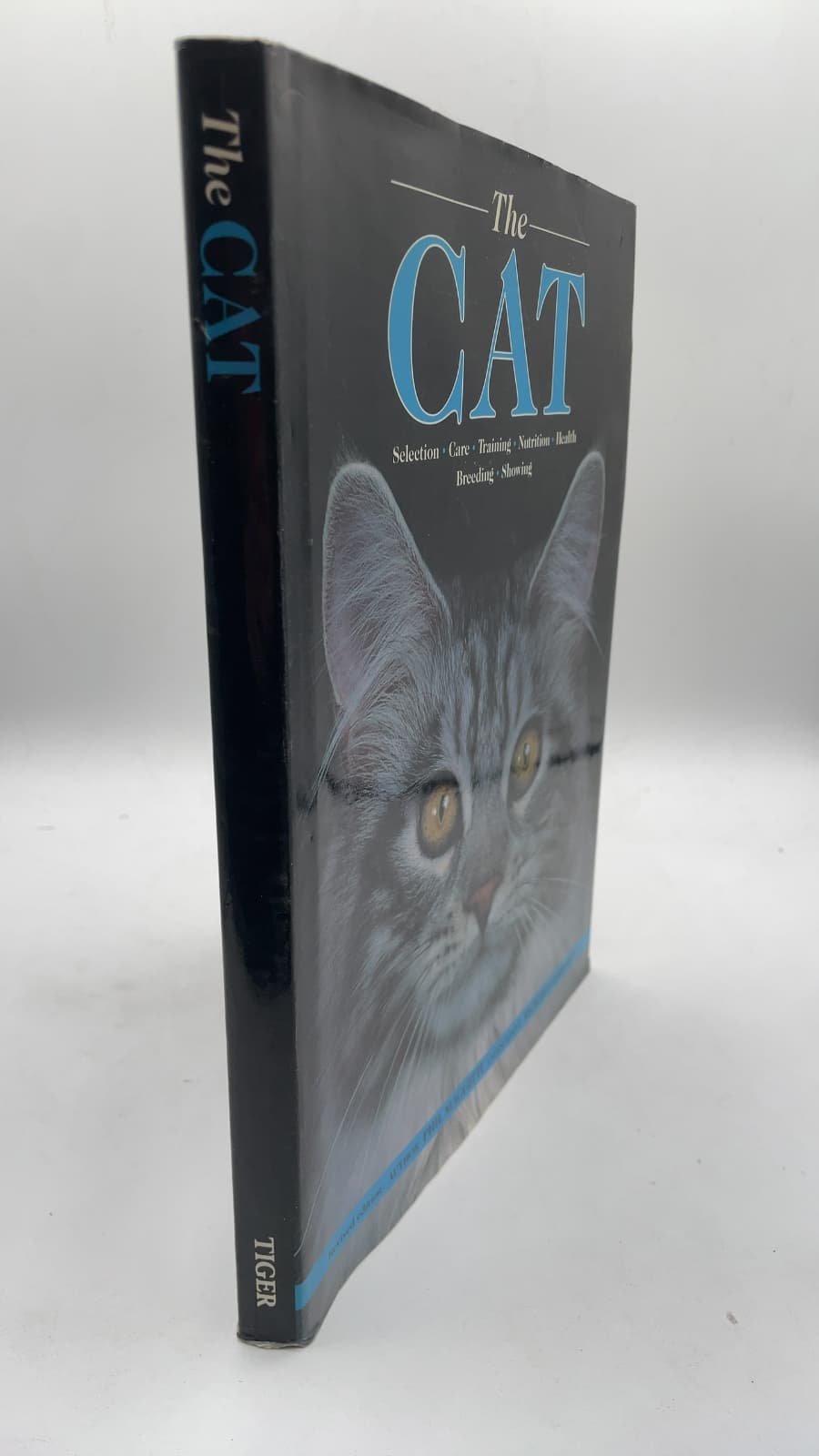 The Cat by Dorothy Silkstone Richards, Phil Maggitti - front cover