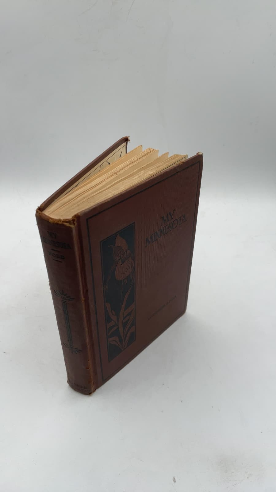 My Minnesota by Antoinette E. Ford - front cover