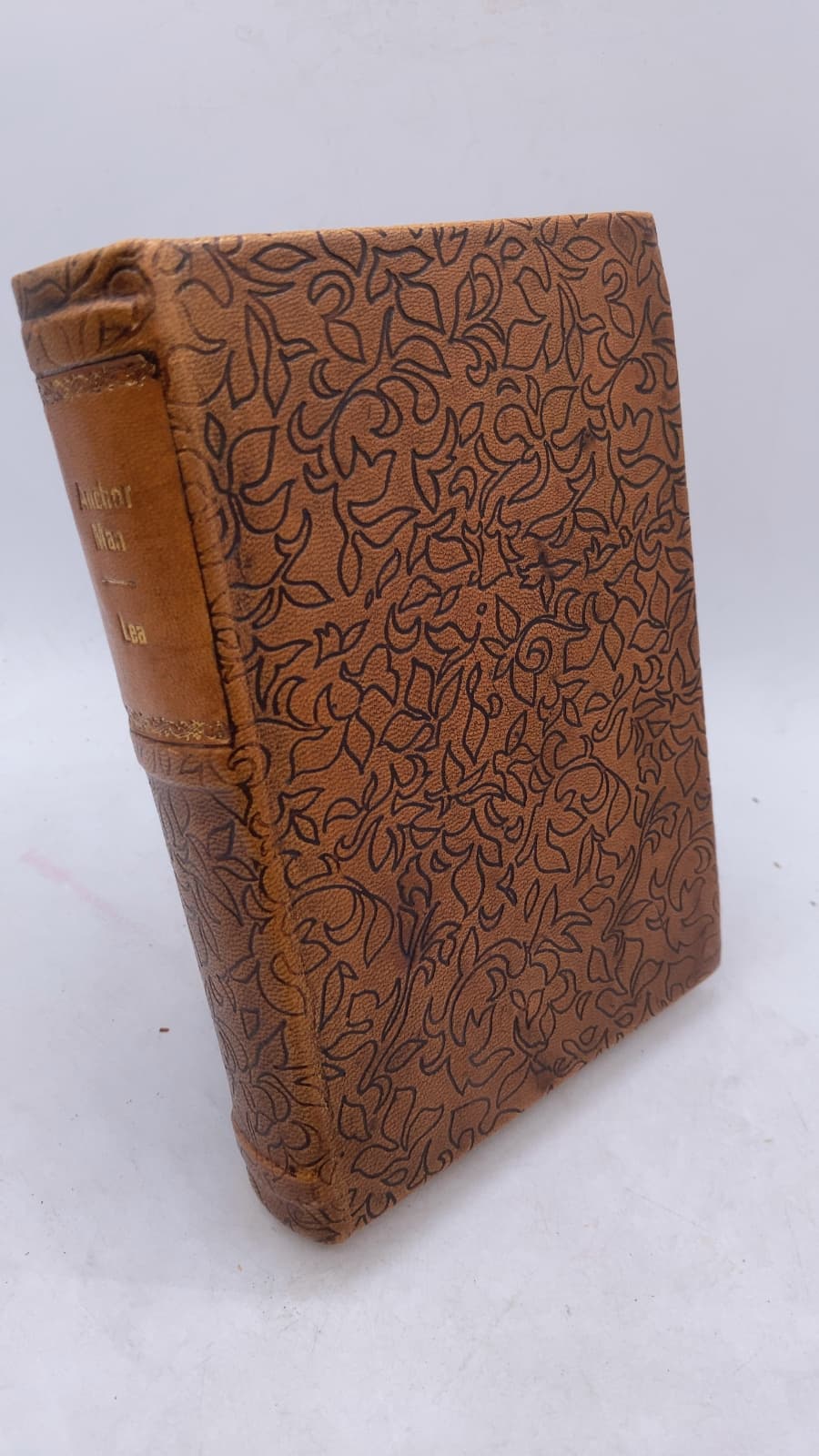 Anchor MAN by Fanny Heaslip LEA - front cover