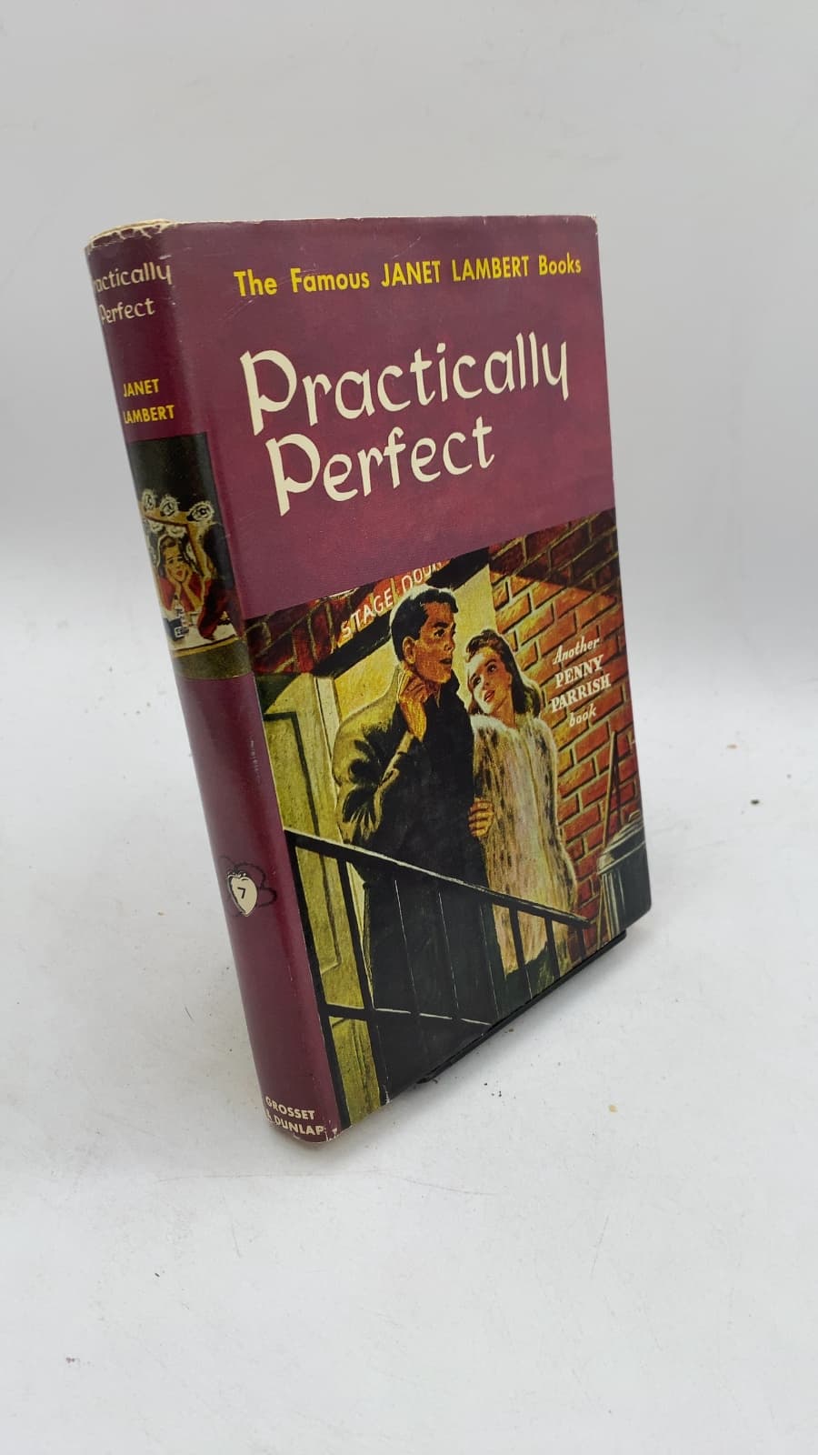 Practically Perfect by Janet Lambert - front cover