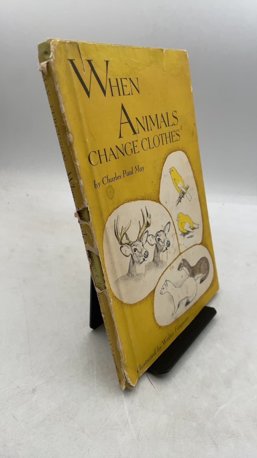 When Animals Change Clothes by Charles Paul May - front cover