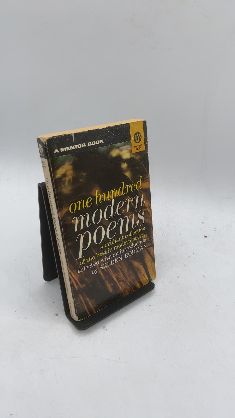 one hundred modern poems