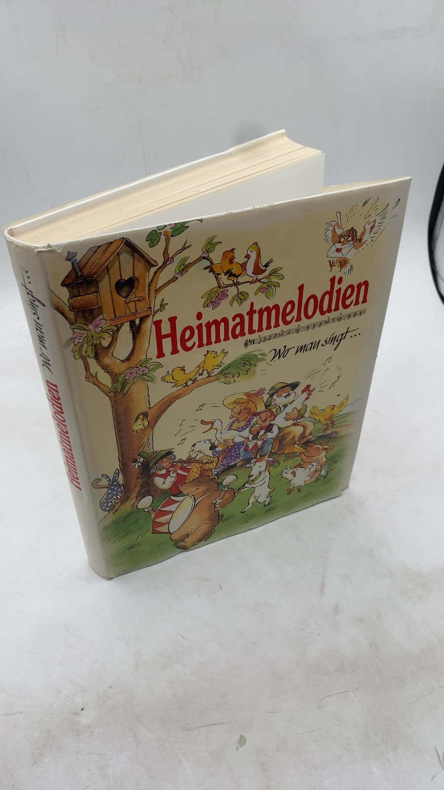 Heimatmelodien: Wo man singt... Lieder aus Deutschland by Prof. Dr. Hermann Rauhe, Rudi Werion, Hans R. Beierlein - front cover