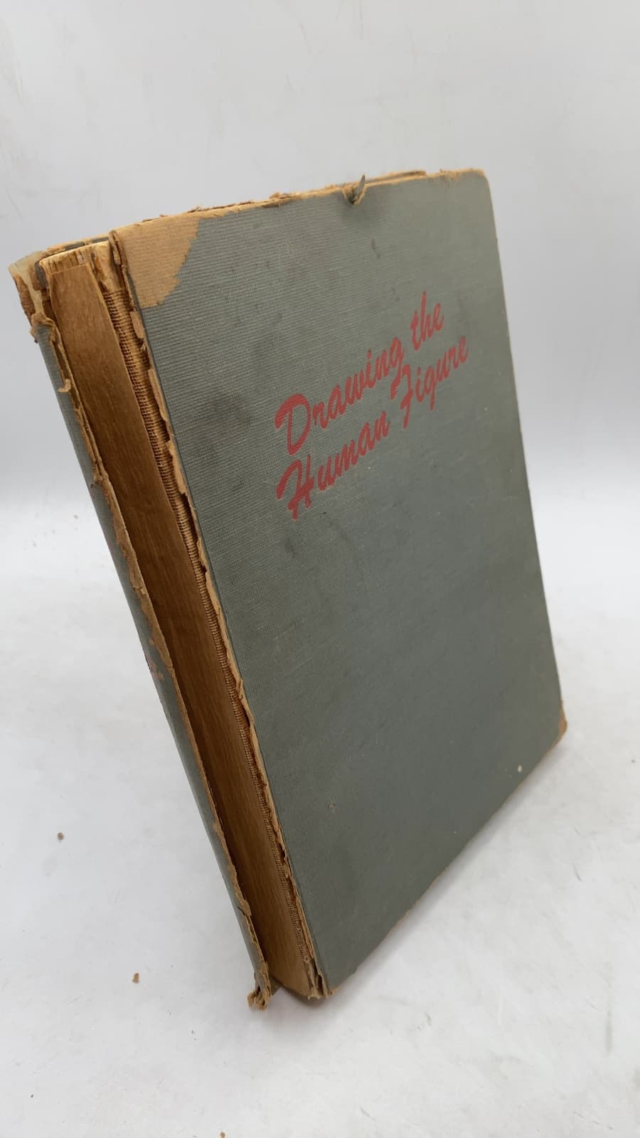 Drawing the Human Figure by Arthur Zaidenberg - front cover