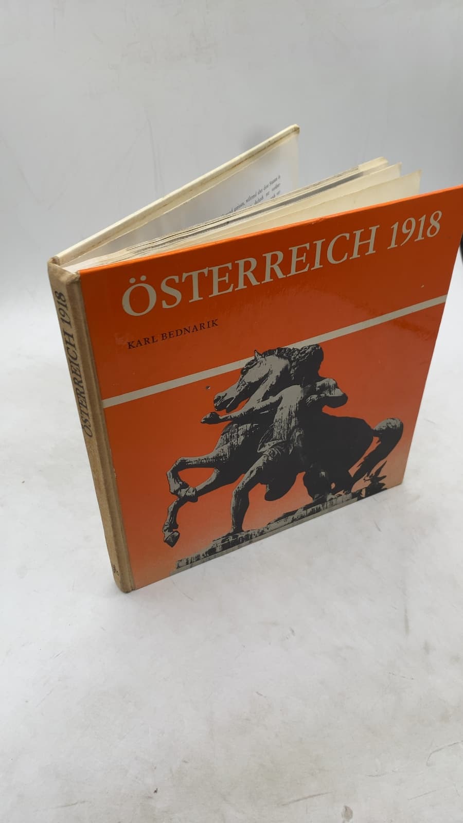 Österreich 1918: Zustandsbild eines Jahres by Karl Bednarik / Stephan Horvath - front cover