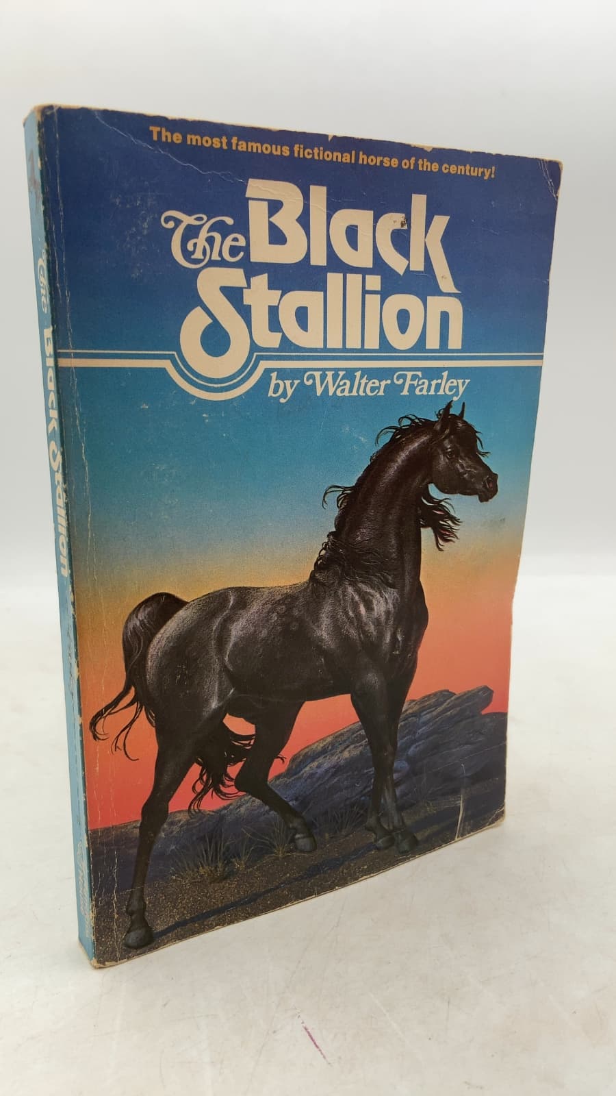 The Black Stallion