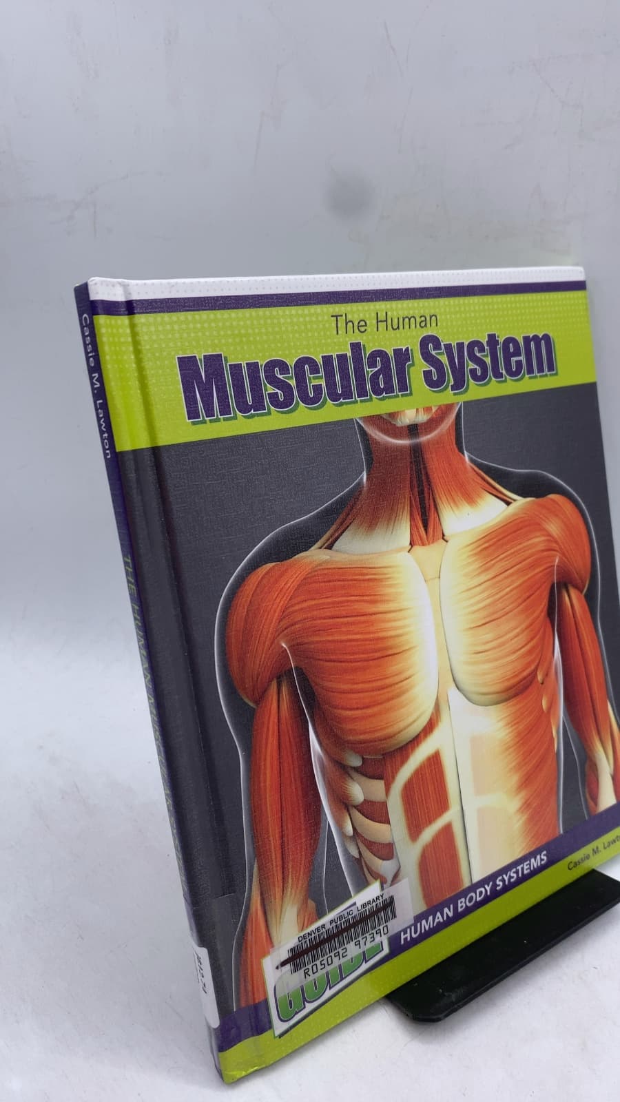 The Human Muscular System by Cassie M. Lawton - front cover
