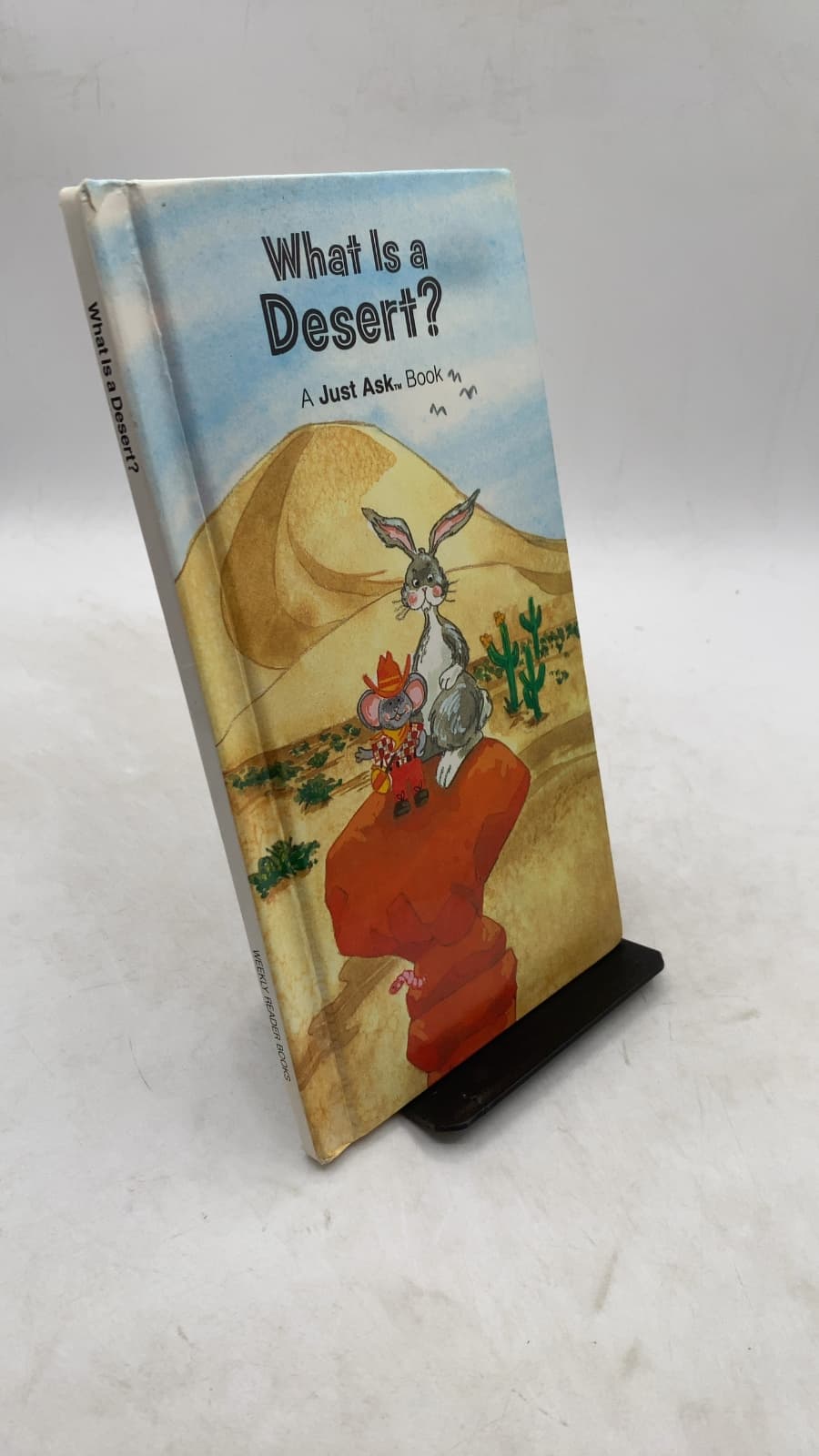 What Is a Desert?
