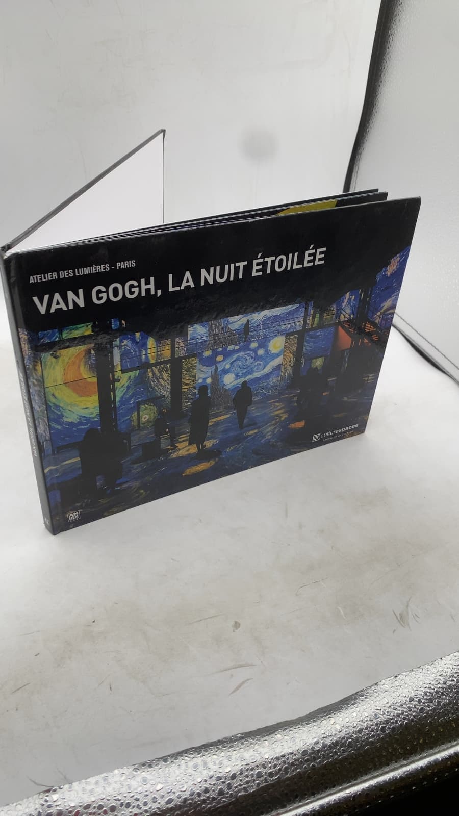 Van Gogh, la nuit étoilée by Gianfranco Iannuzzi, Renato Gatto, Massimiliano Siccardi - front cover