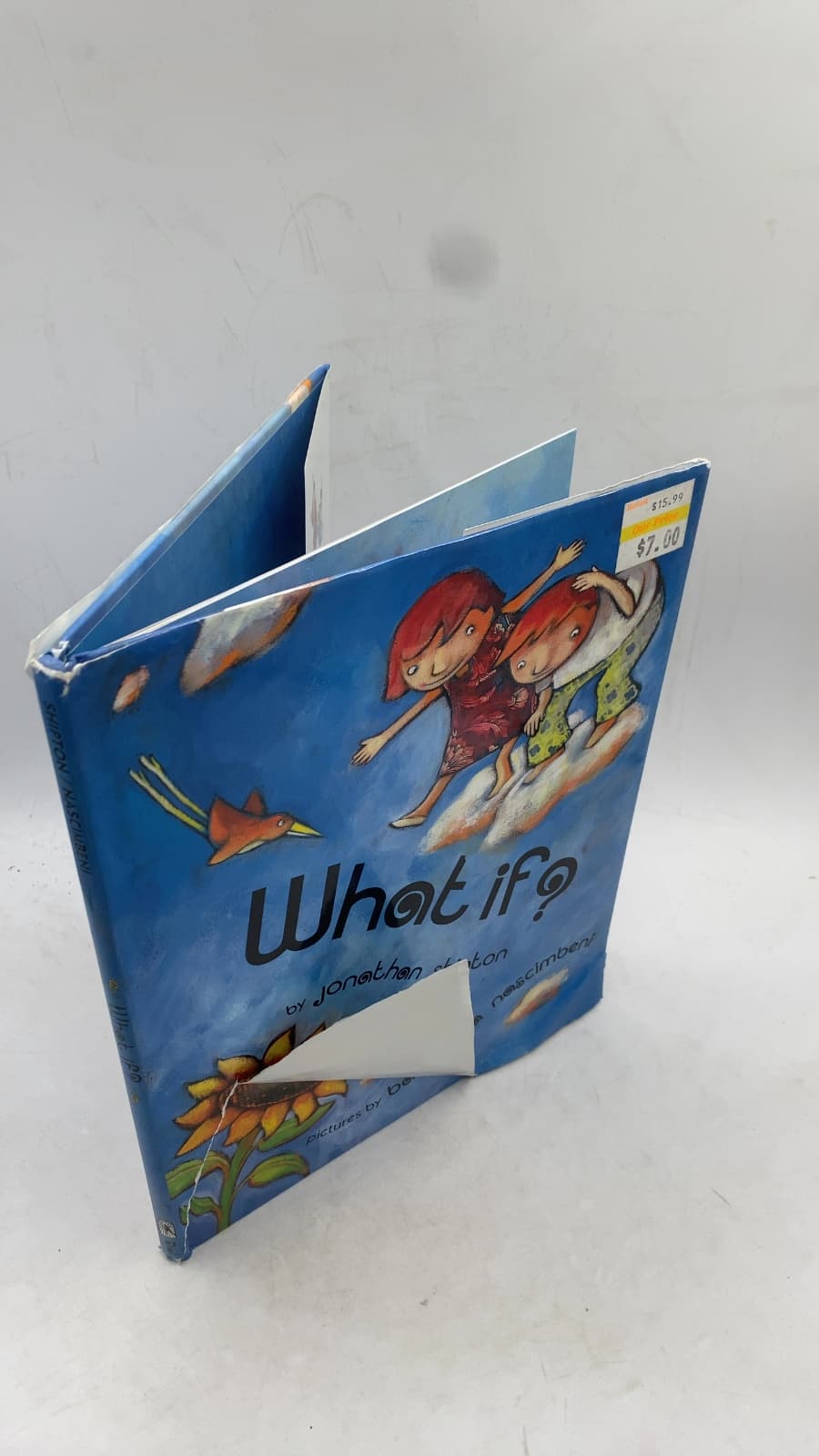 What if? by Jonathan Shipton - front cover