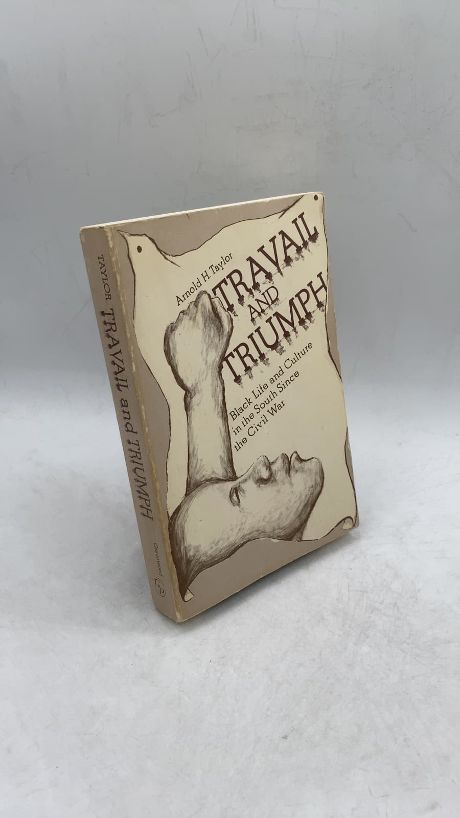 Travail and Triumph: Black Life and Culture in the South Since the Civil War by Arnold H. Taylor - front cover